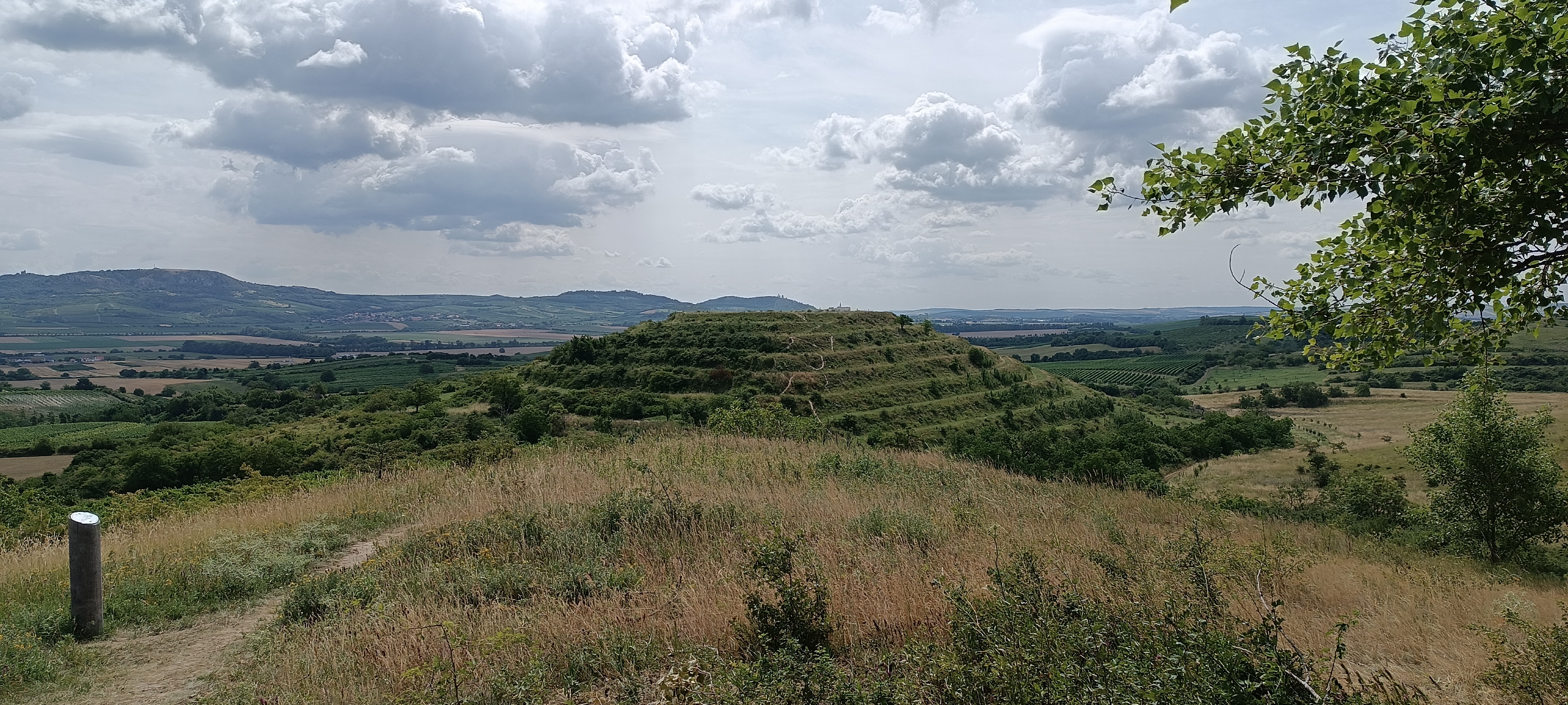 Penzion Dolní Dunajovice foto 3
