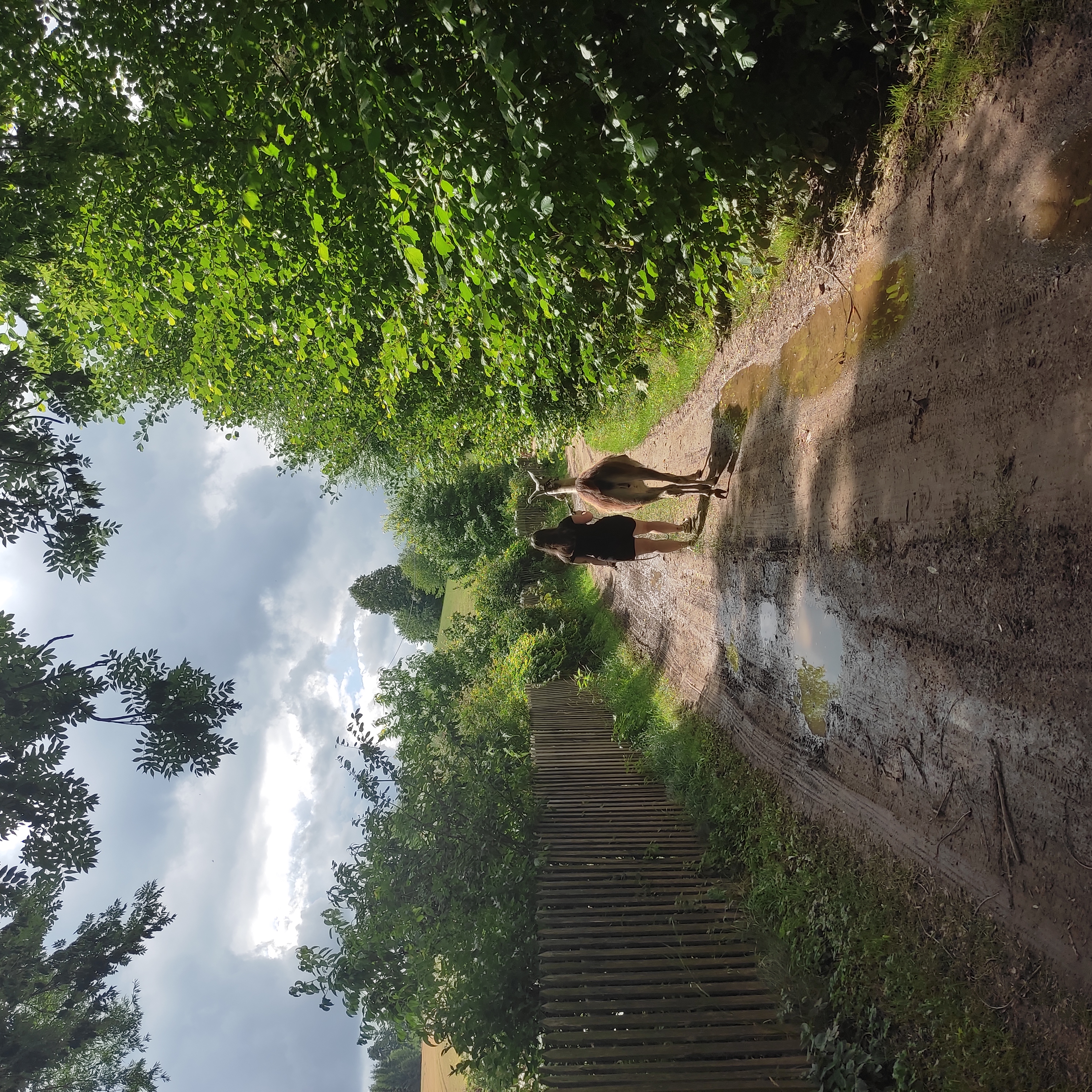 FARMA U LAMÁKA foto 2