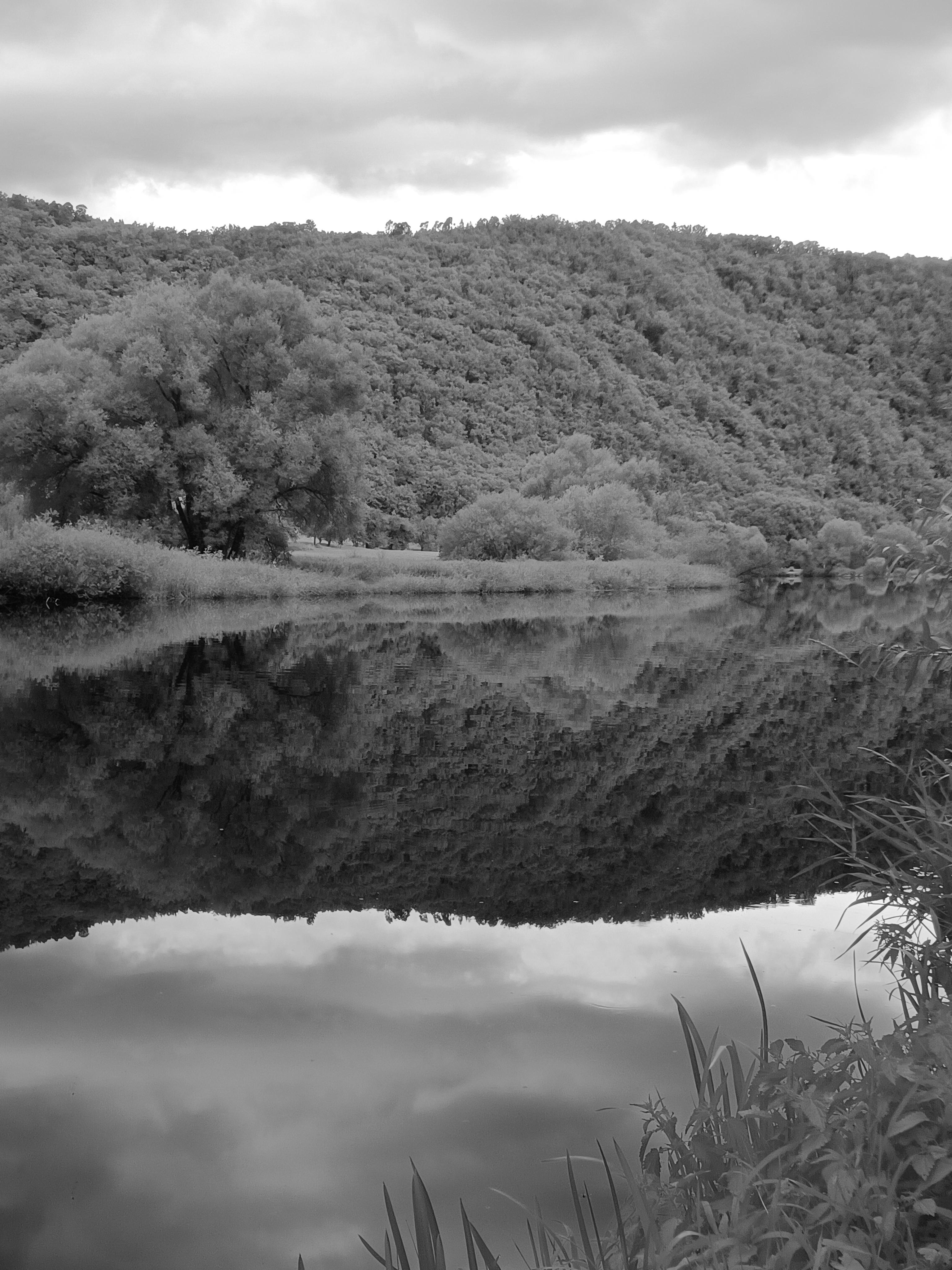 Ubytování V mechu a kapradí foto 5