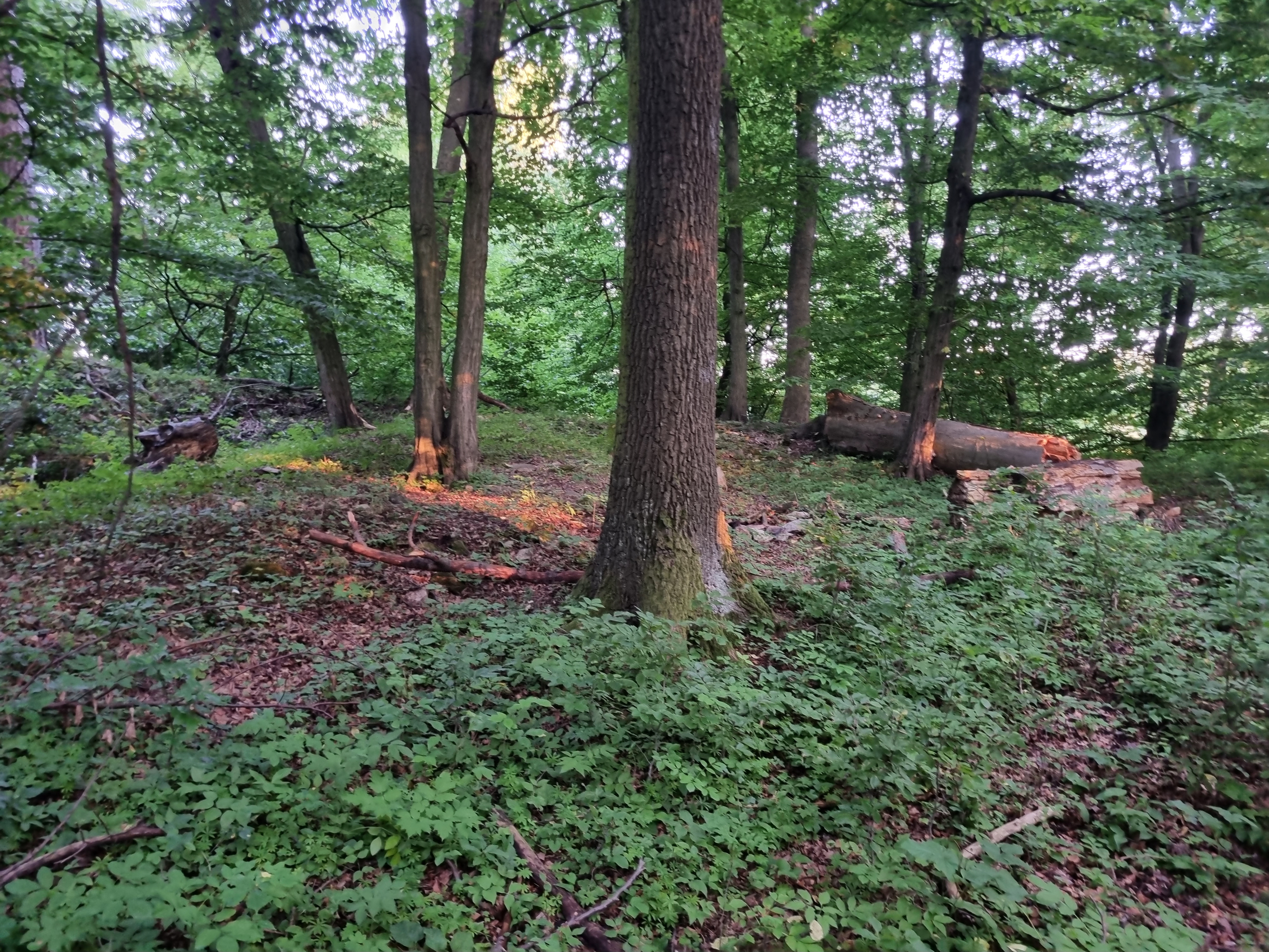 Tábořiště U Konťáku foto 4