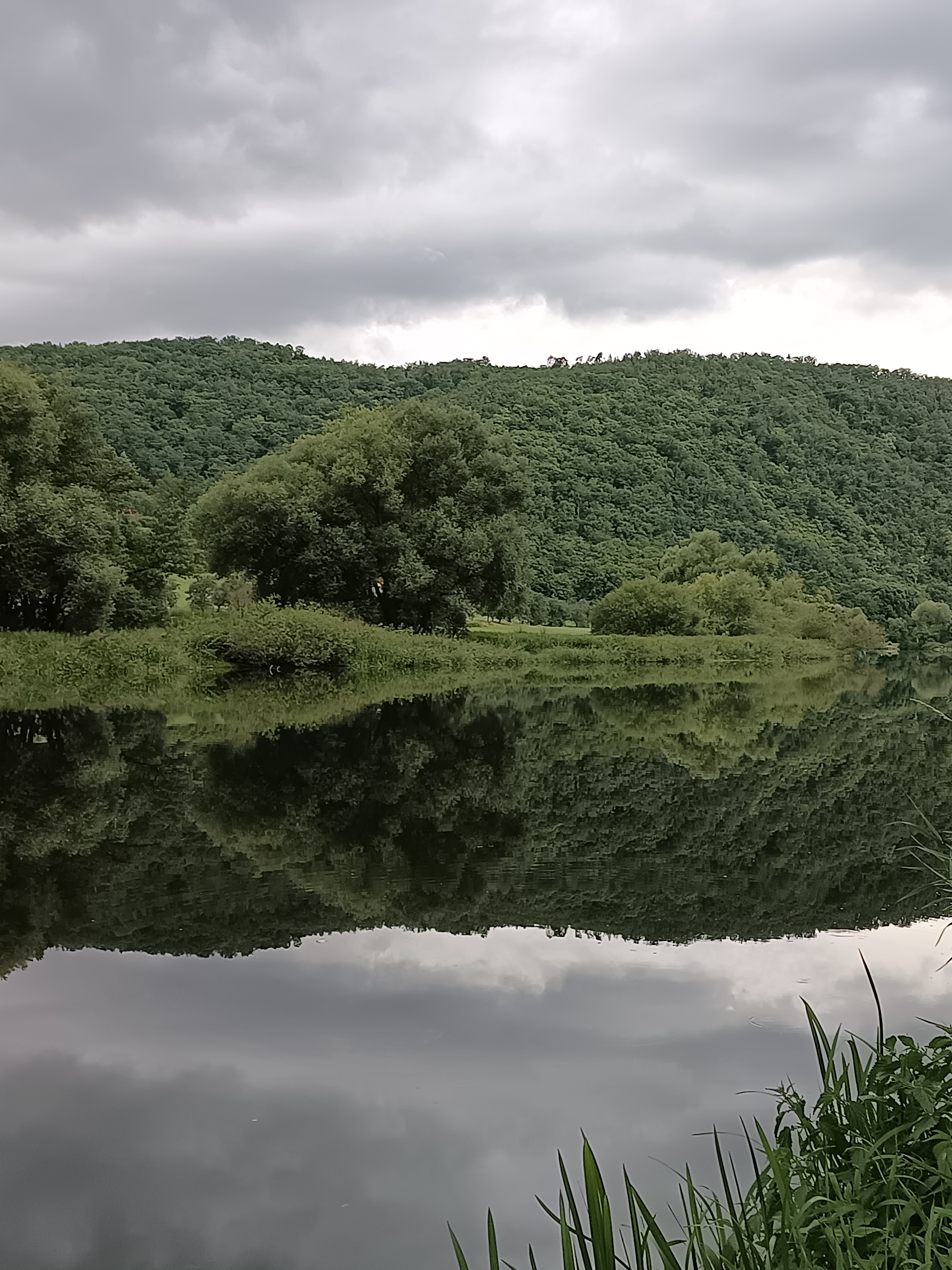Ubytování V mechu a kapradí foto 4