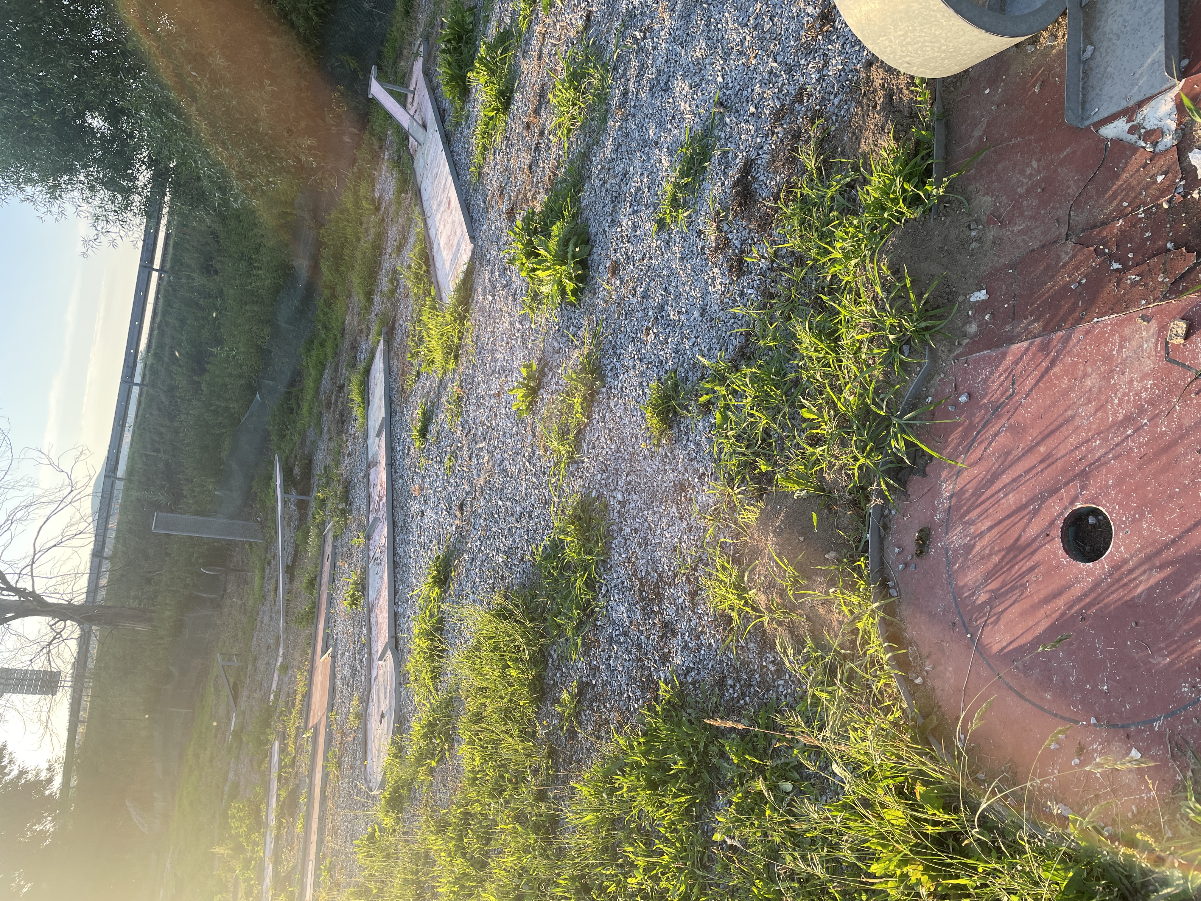 Minigolf Černá v Pošumaví foto 6