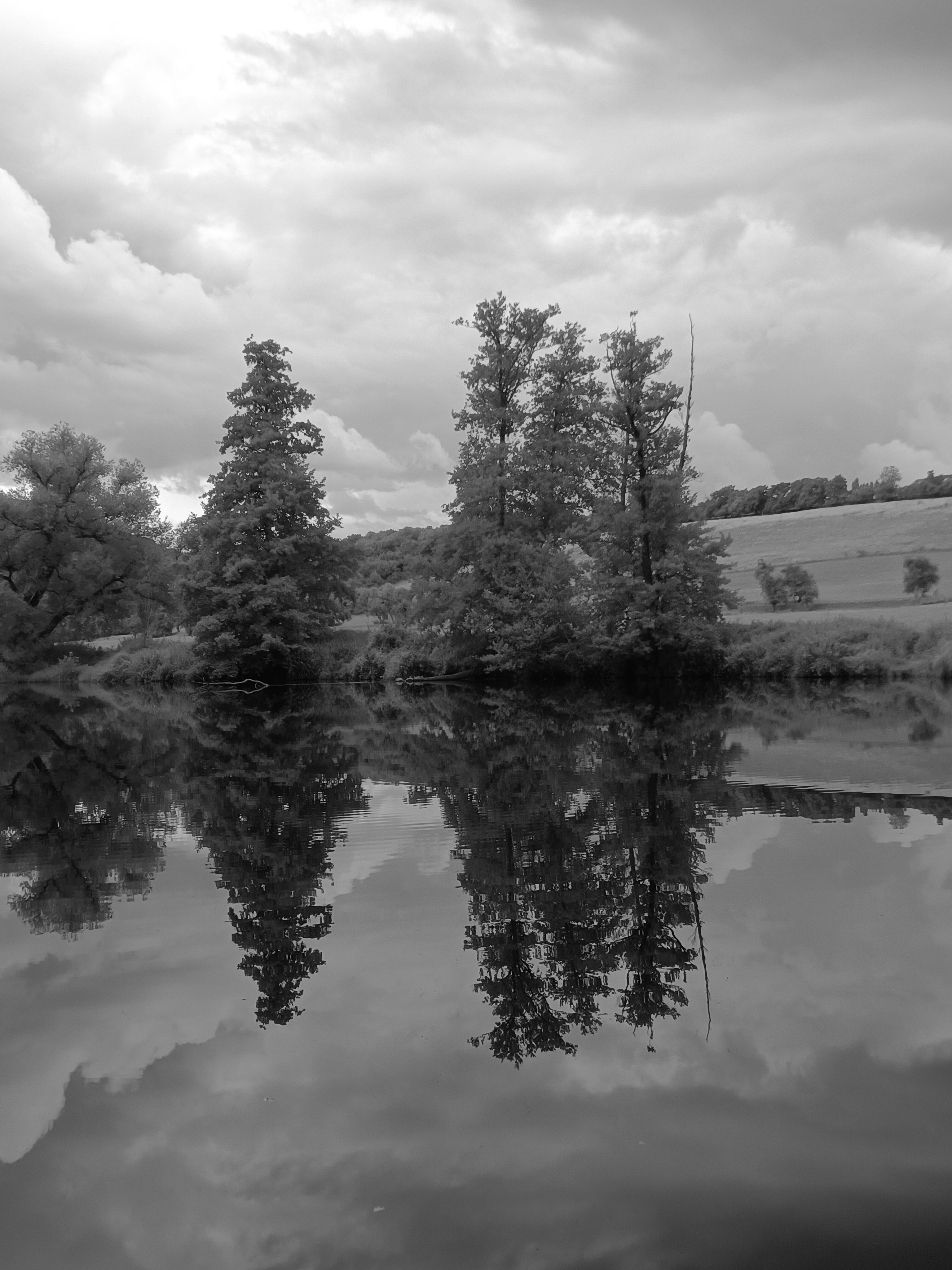 Ubytování V mechu a kapradí foto 3