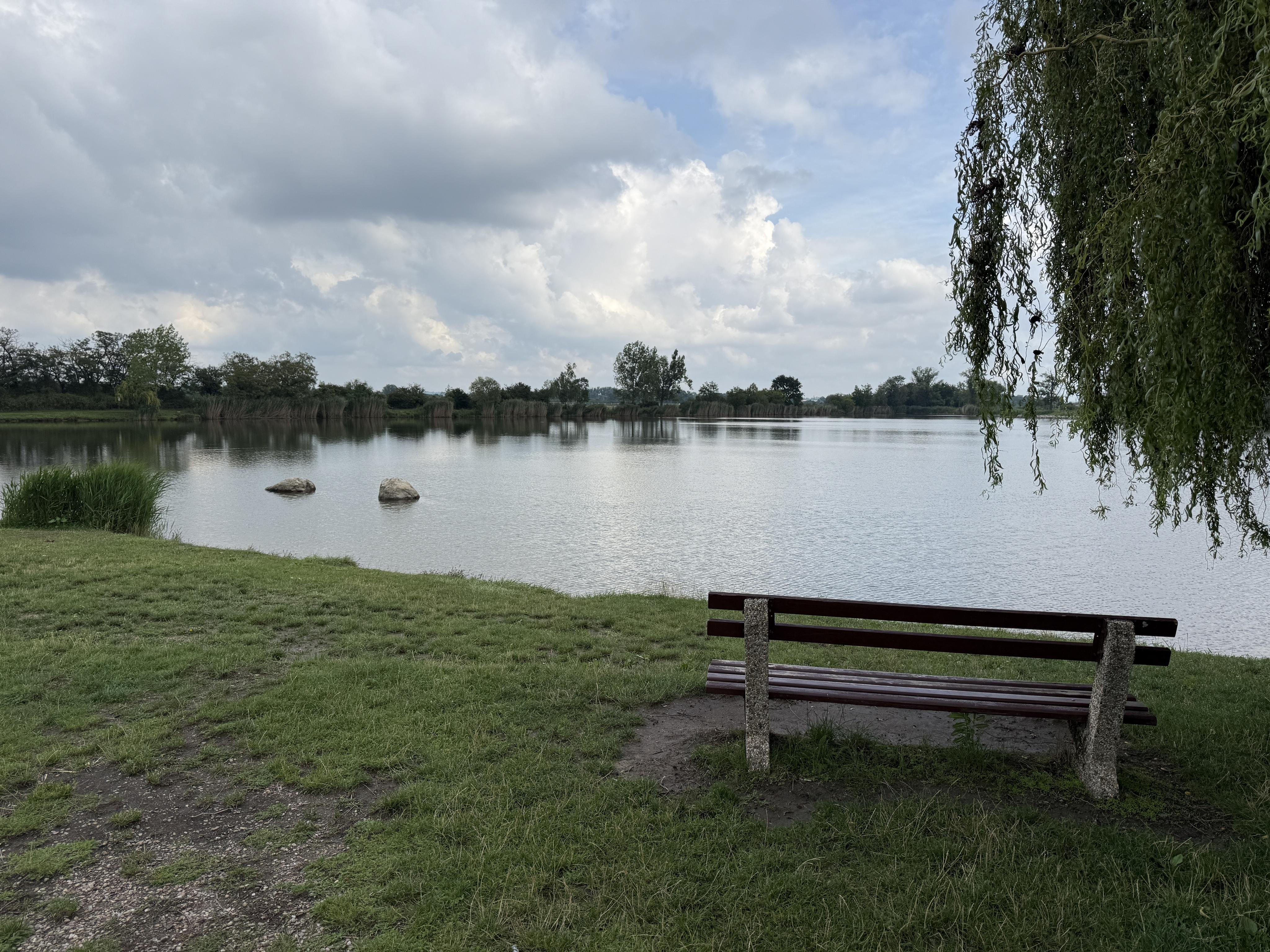 Špachtle u šutráku foto 6