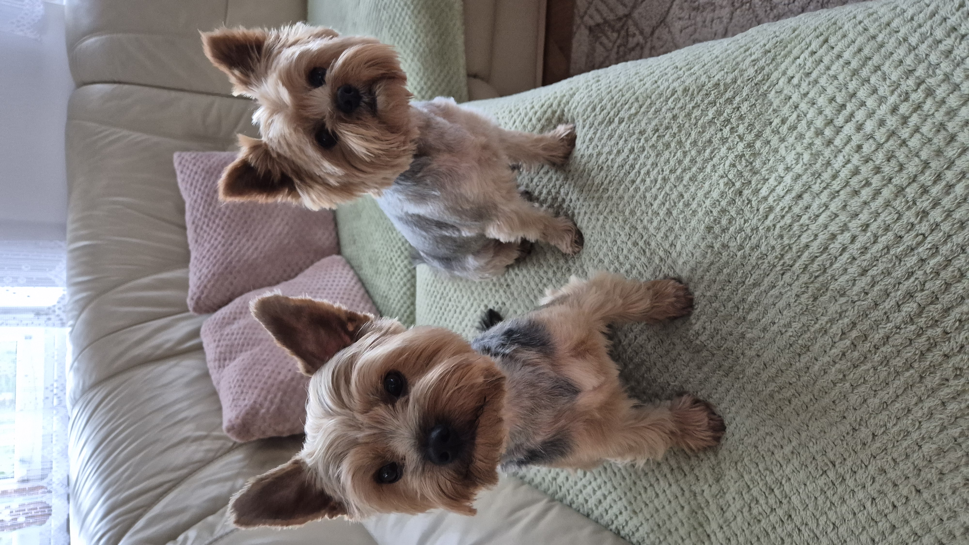 Veterinární klinika Zodiacus 97 s.r.o. foto 5