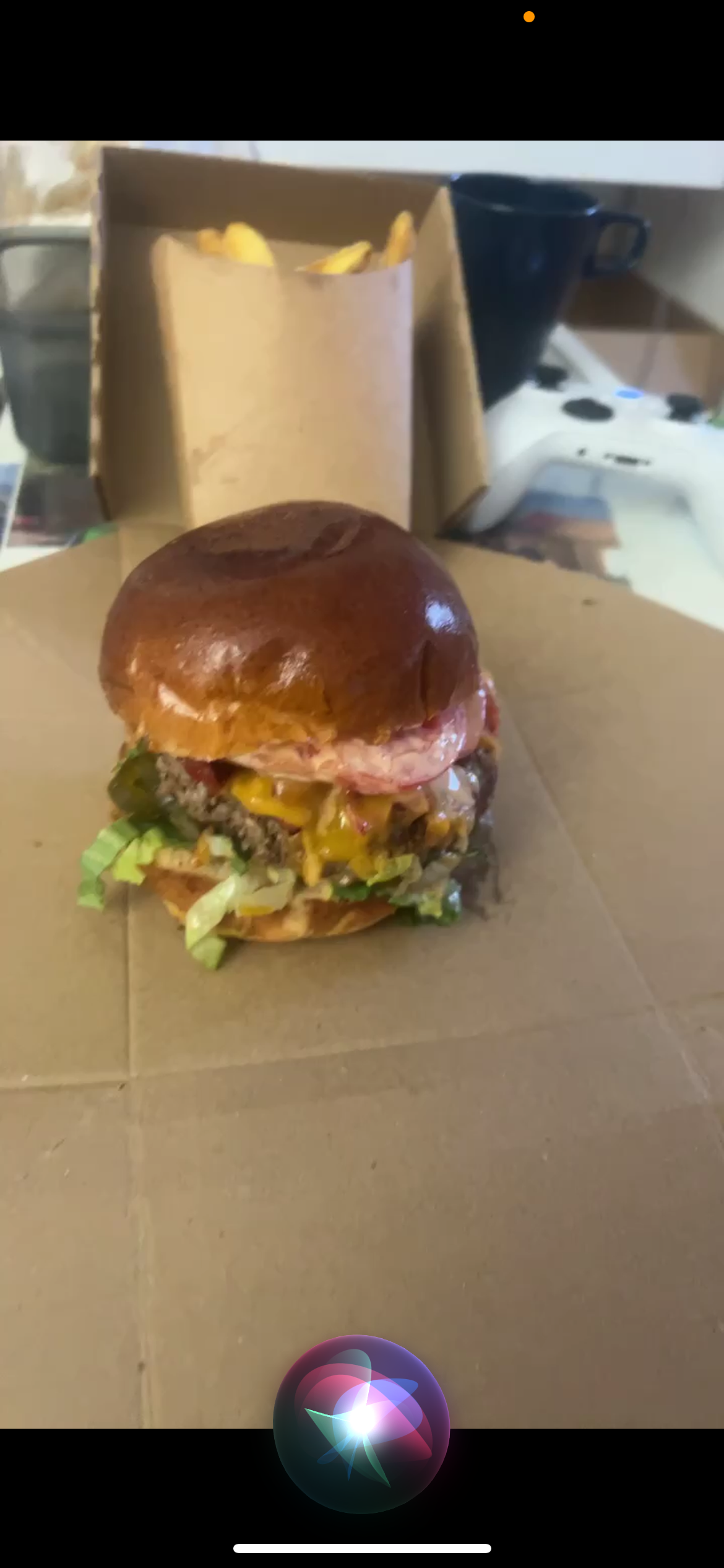 Lidová zahrada foto 5