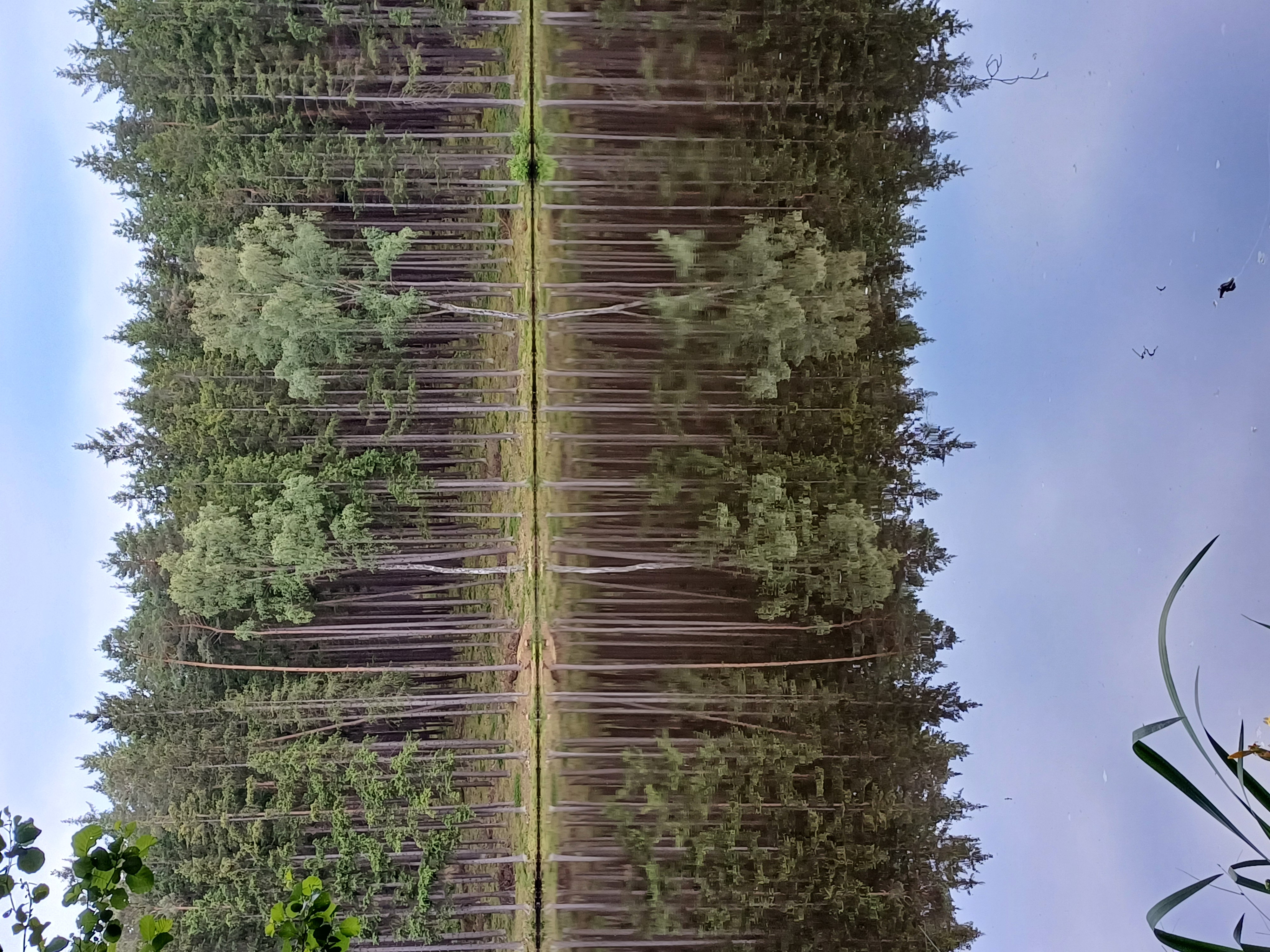 Údolí Volavek foto 2