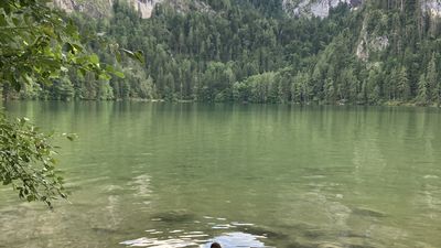 pop up zelt zusammenfalten Wetterfestes und extra leichtes Pop up Familienzelt fr 3 Personen