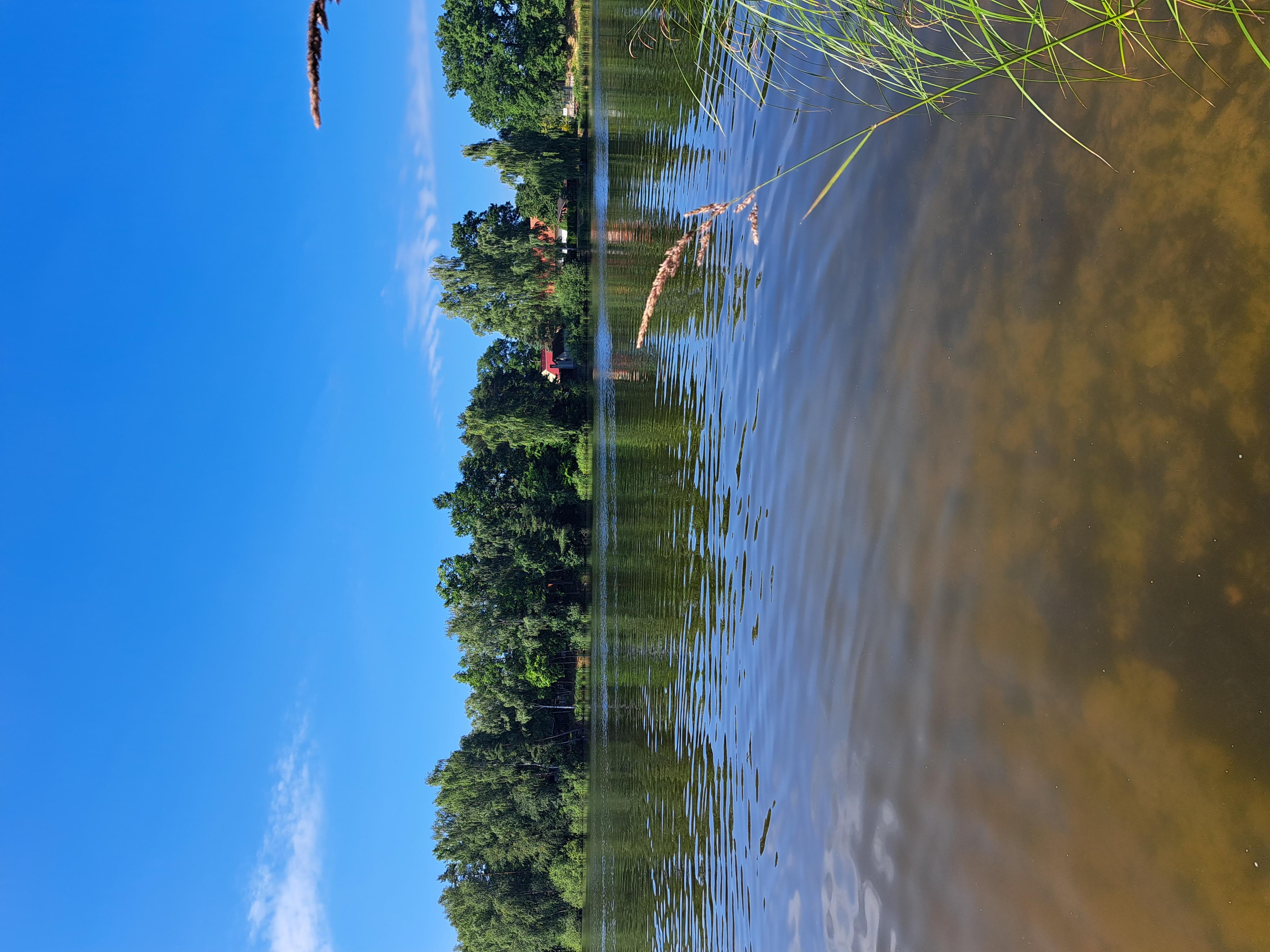 Kemp U Tomášků foto 5