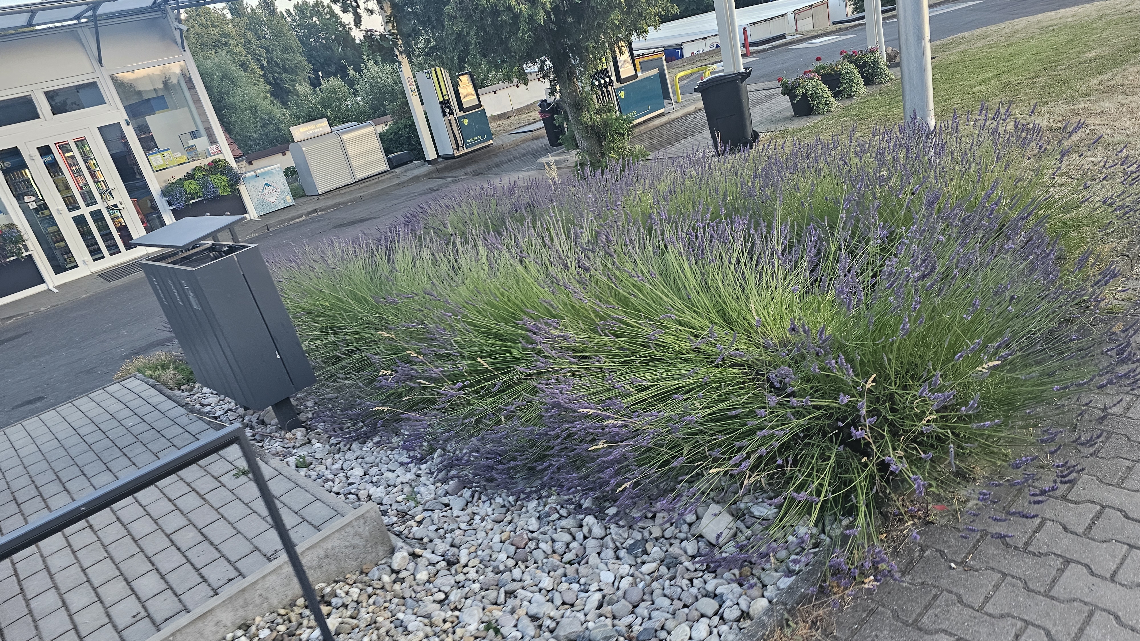 EuroOil foto 4