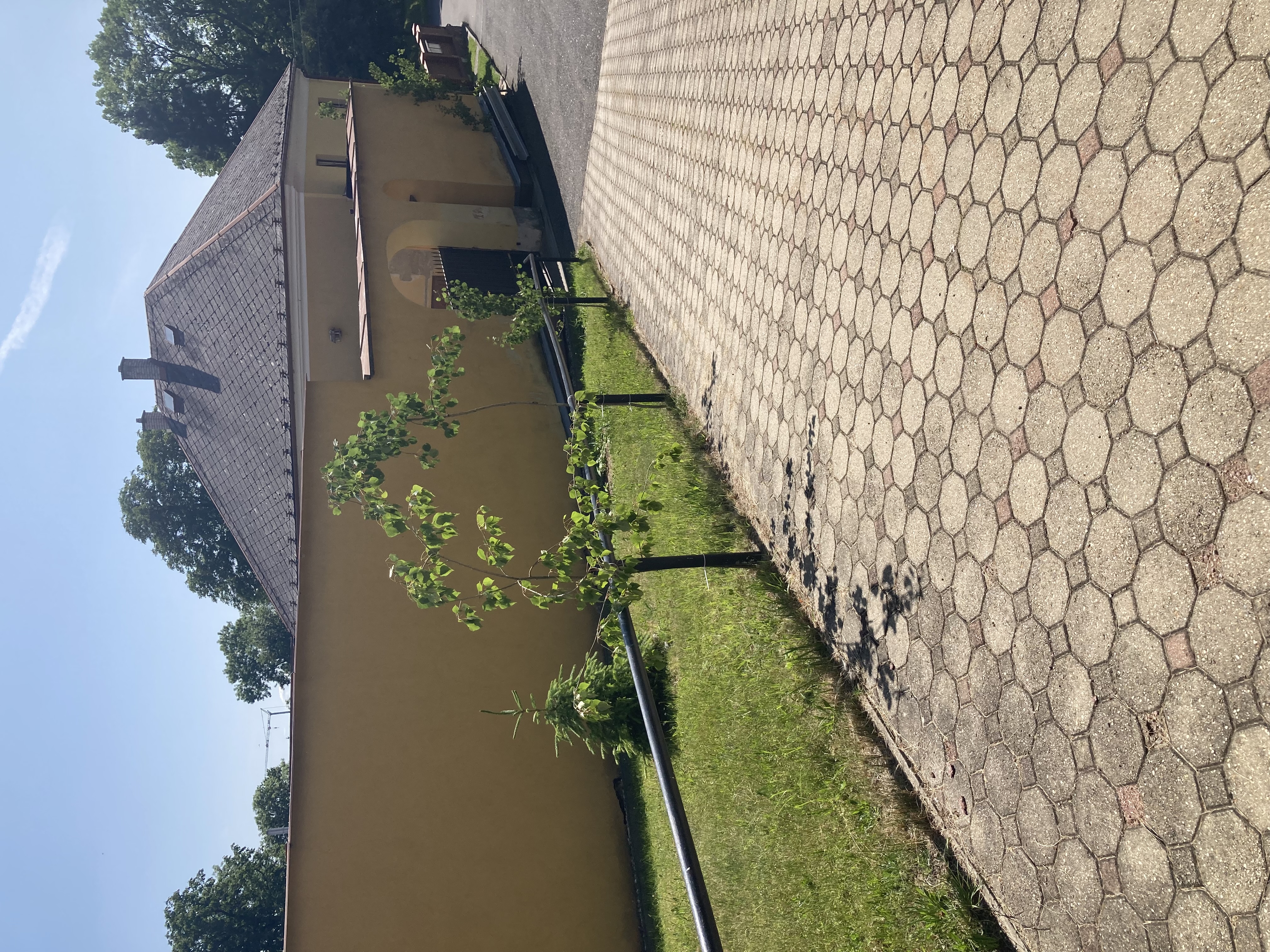 Římskokatolická farnost Oldřišov foto 4