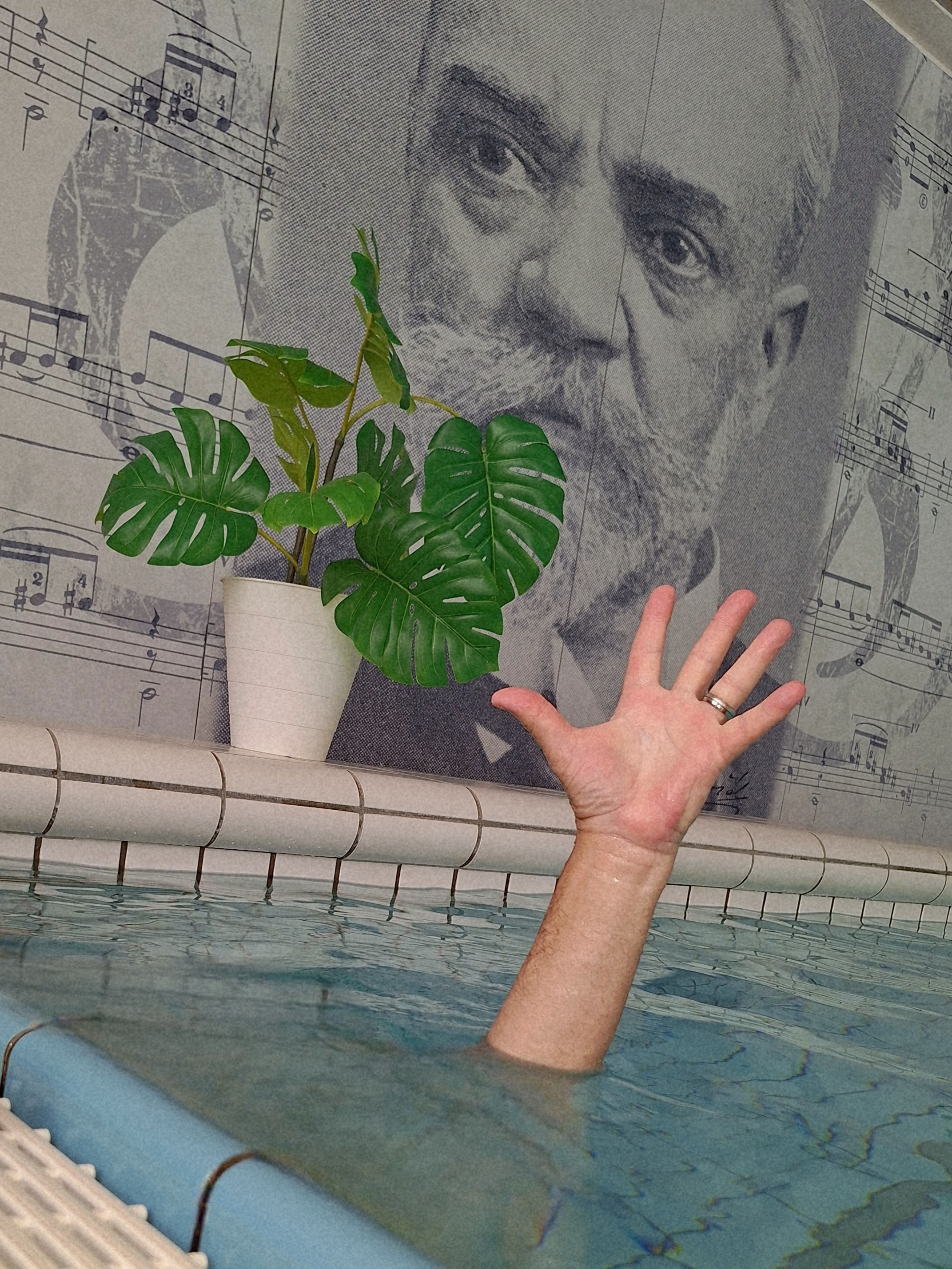 Dvorak Spa & Wellness Hotel foto 6