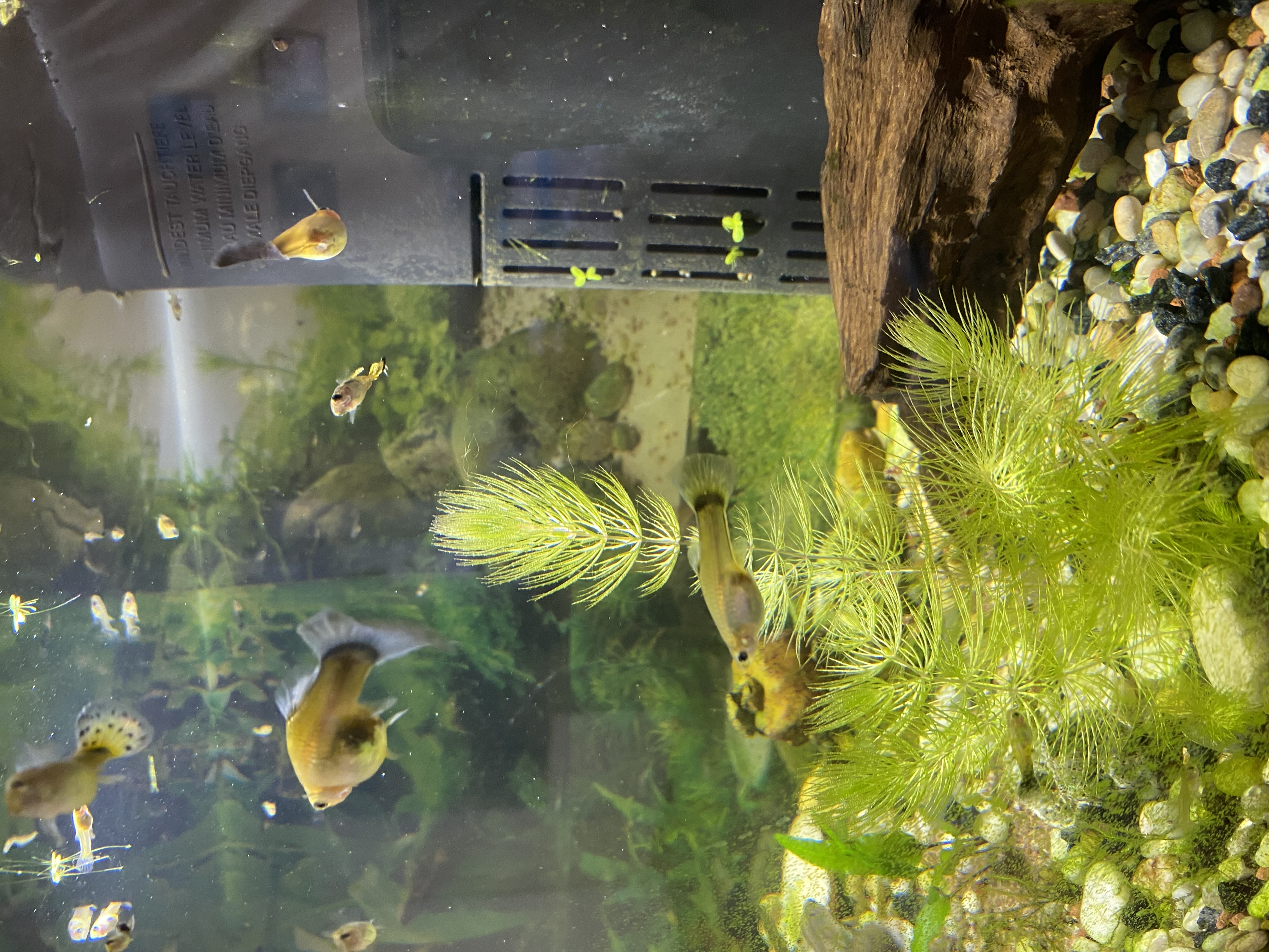 TETRA ZOOCENTRUM foto 2