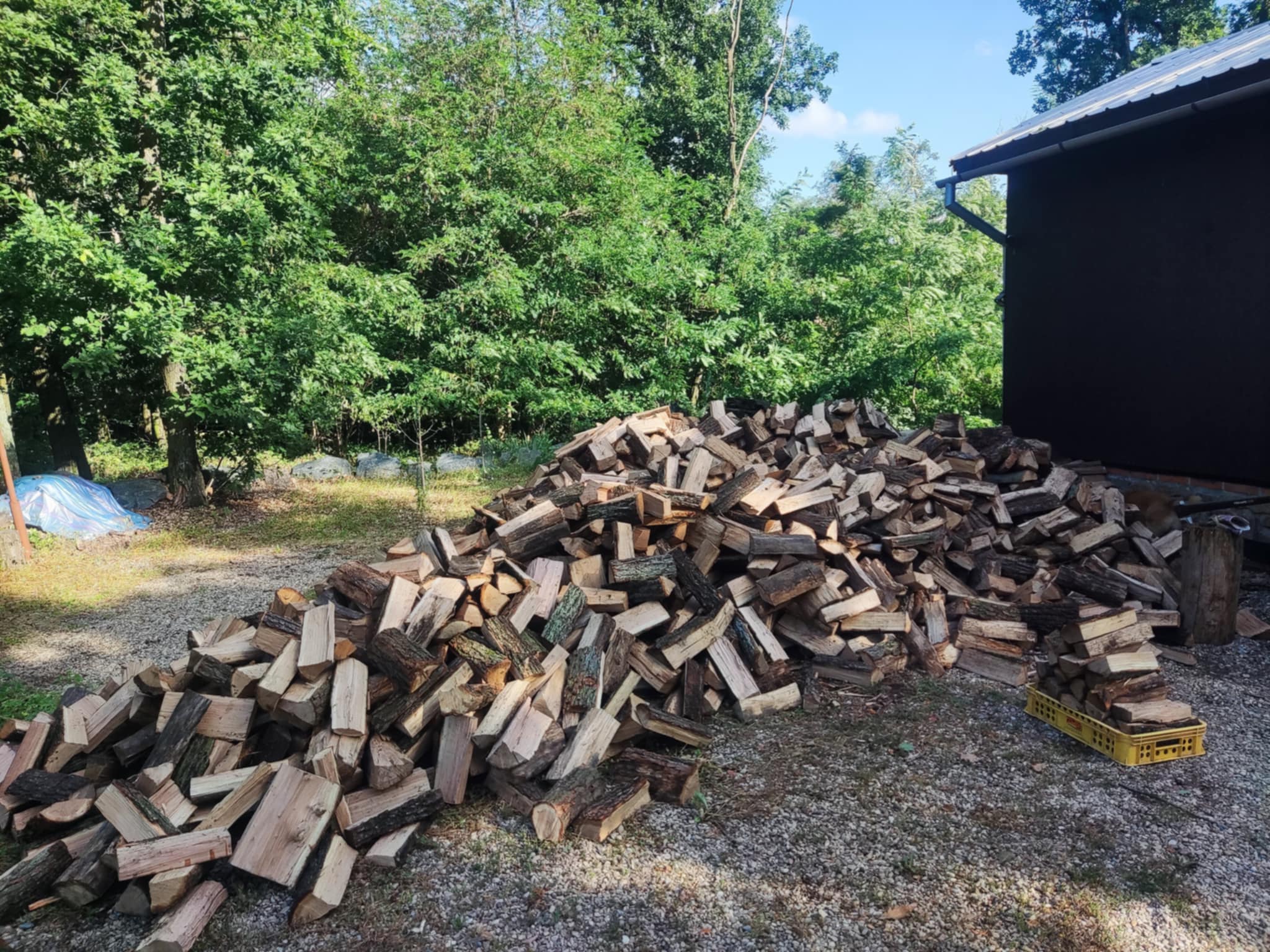 Palivové dřevo Žebětín foto 2