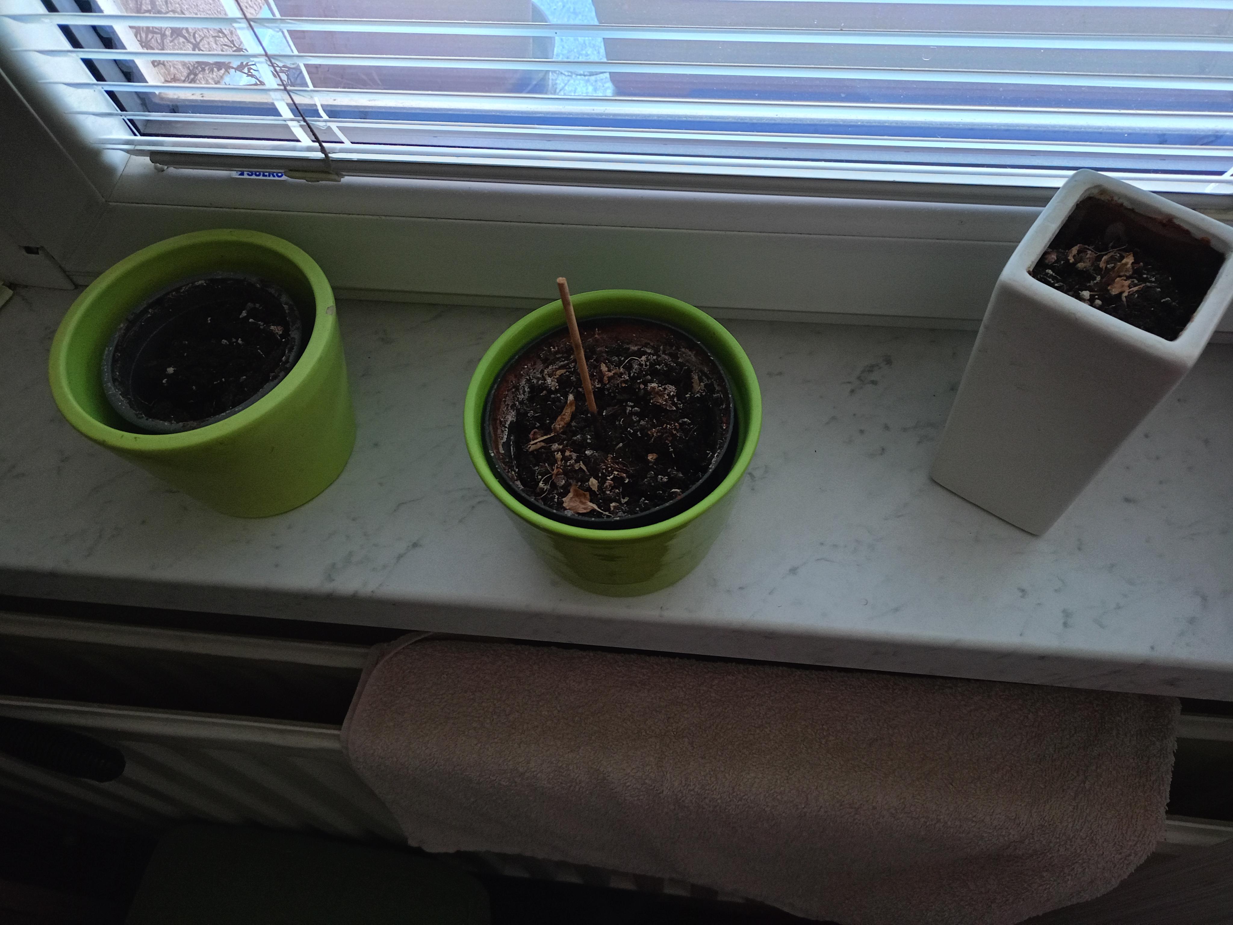 Apartmán Luhačovice Zahradní čtvrť 923 foto 6