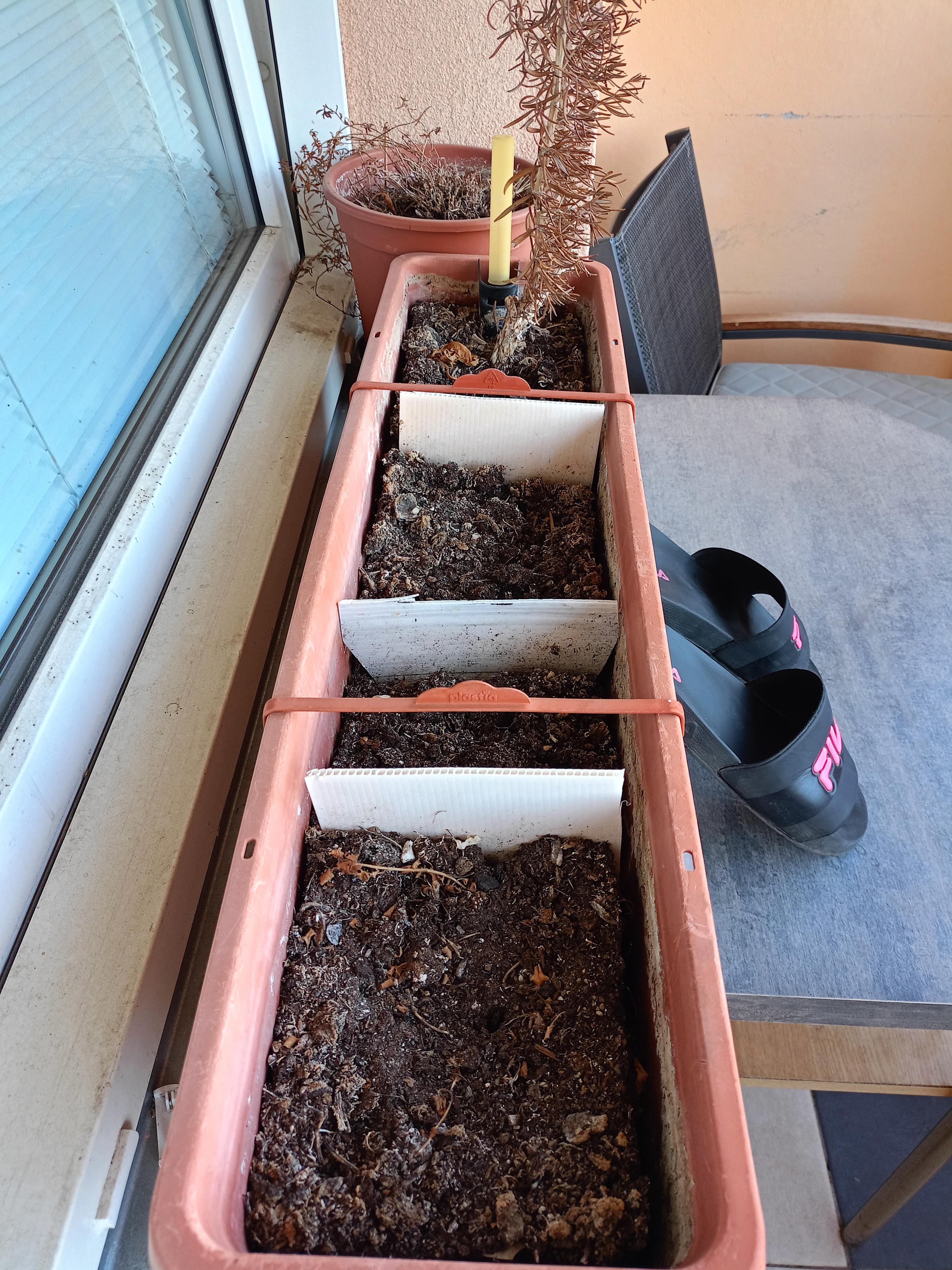 Apartmán Luhačovice Zahradní čtvrť 923 foto 3