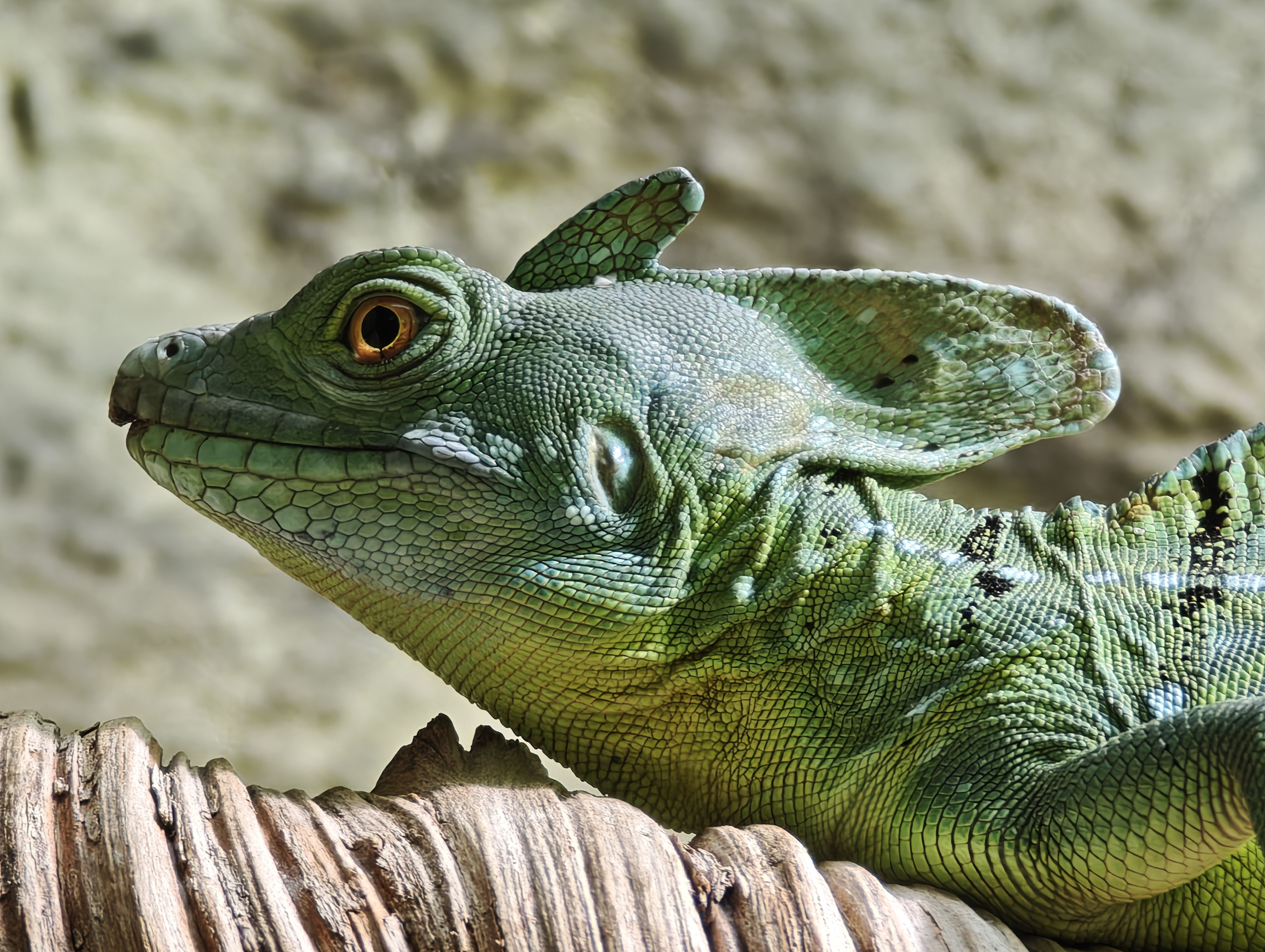 Zoo Liberec foto 2