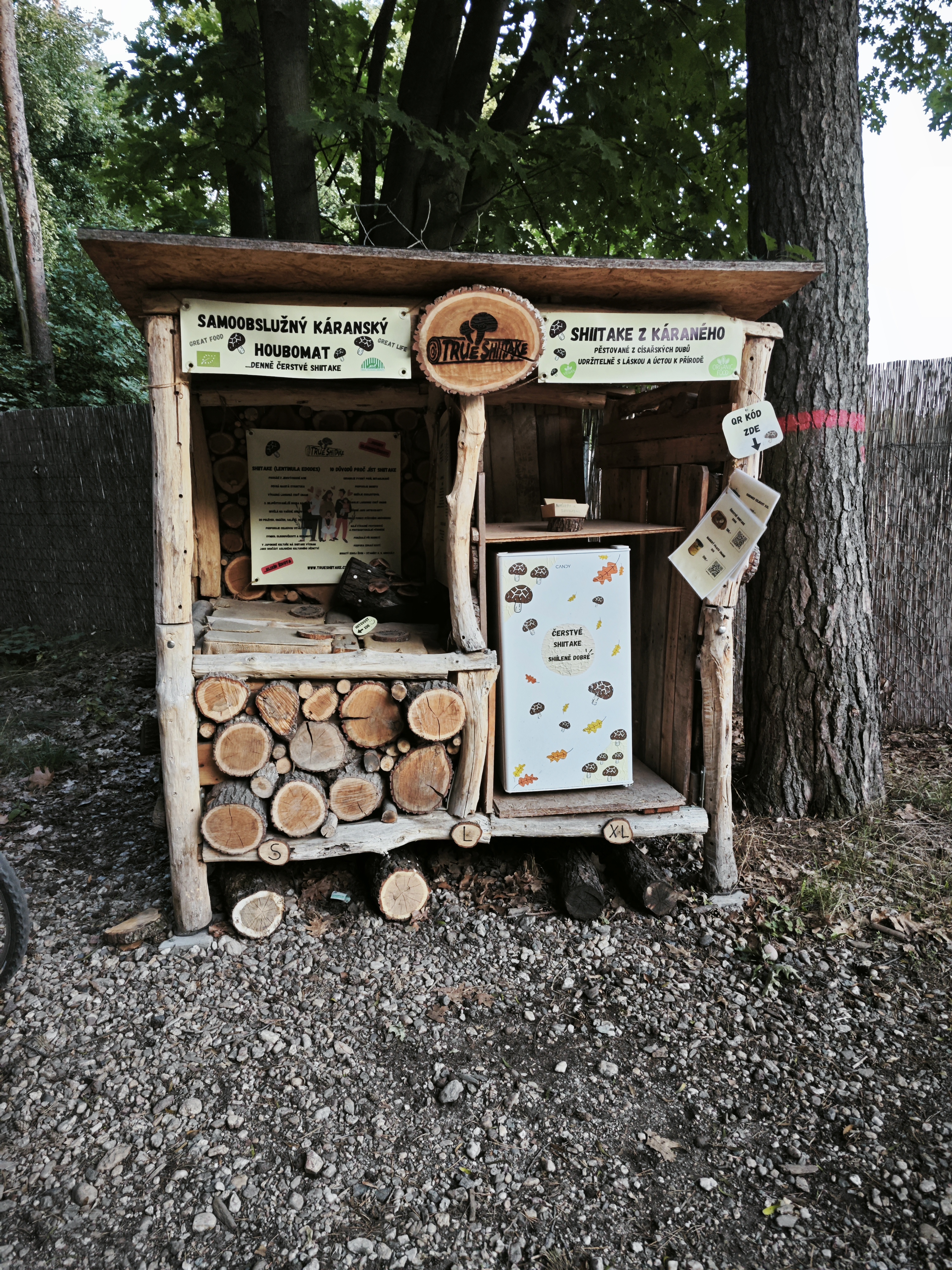True Shiitake - Houbomat foto 2