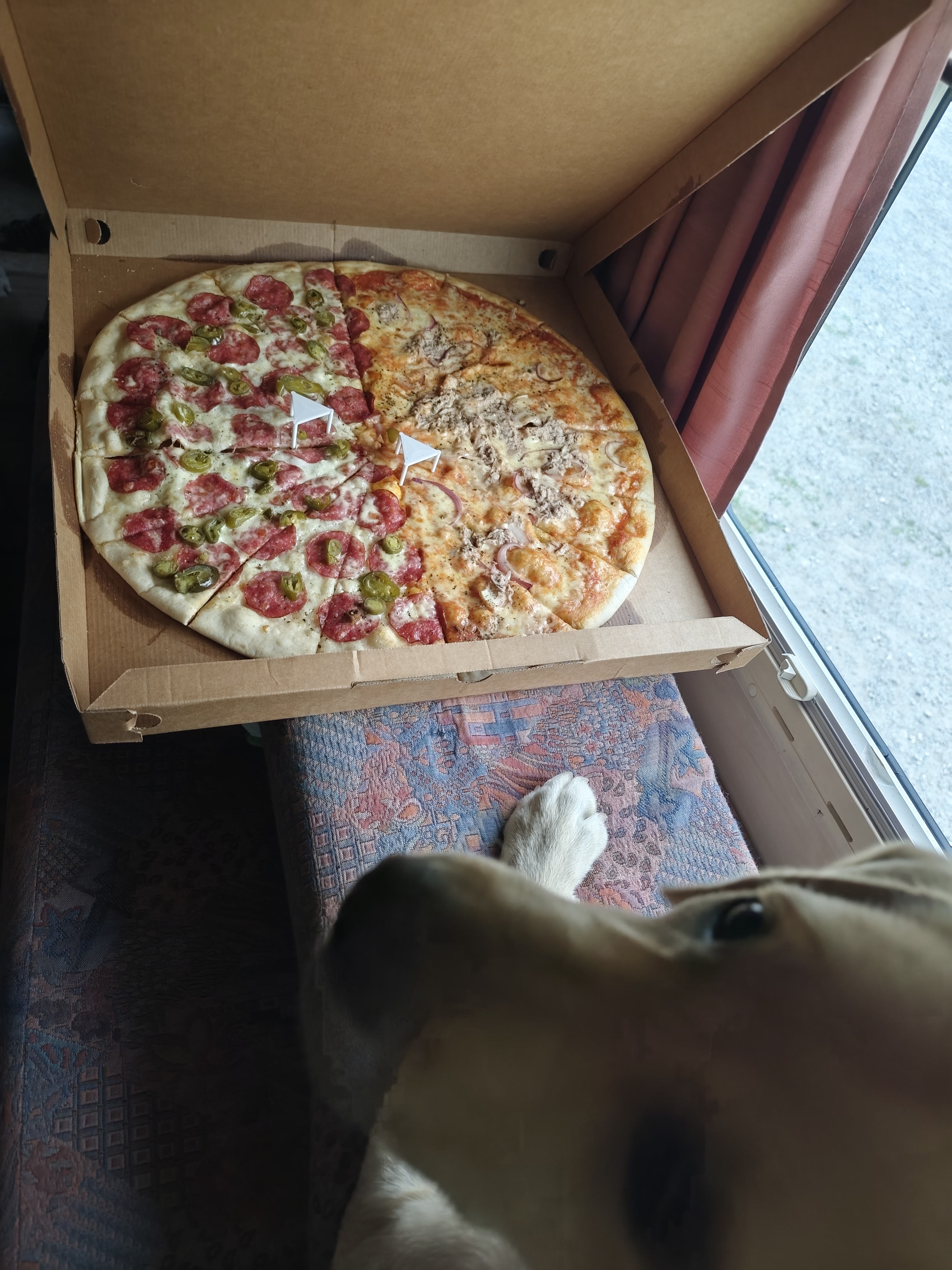 Pizza Piazza foto 2