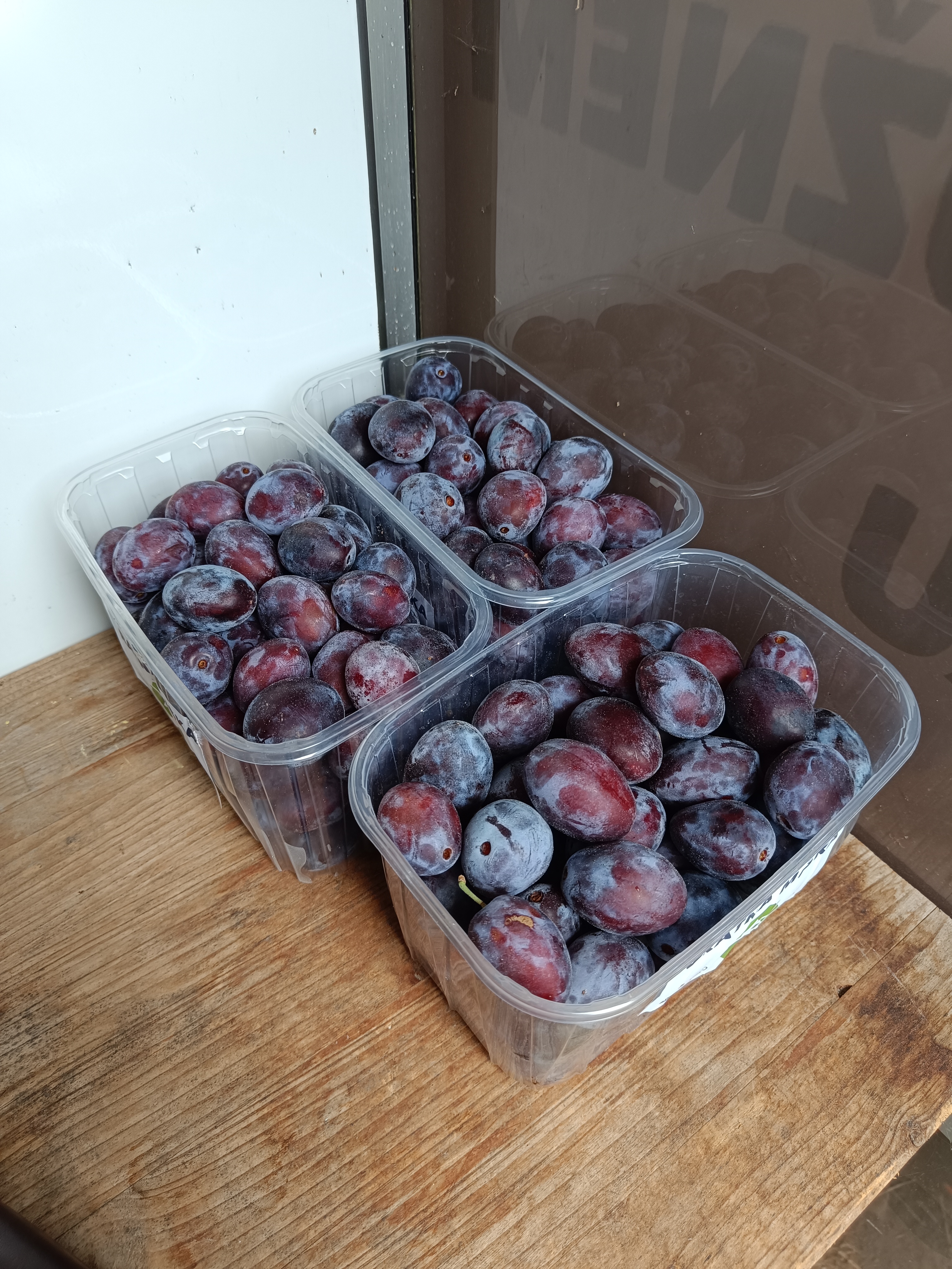 Švestky z Podůlšan - Šárka Kučerová foto 2