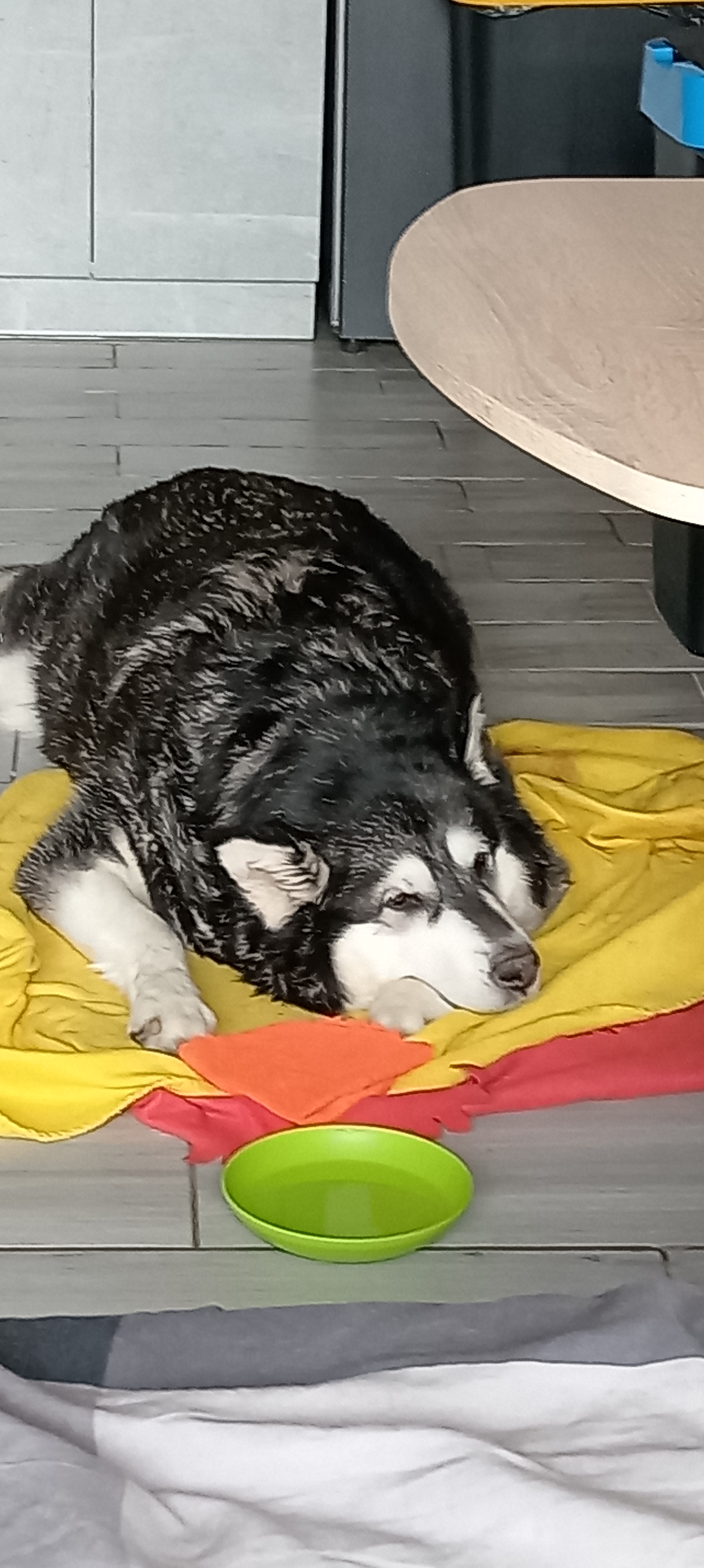 Veterinární ordinace – Neratovice foto 3