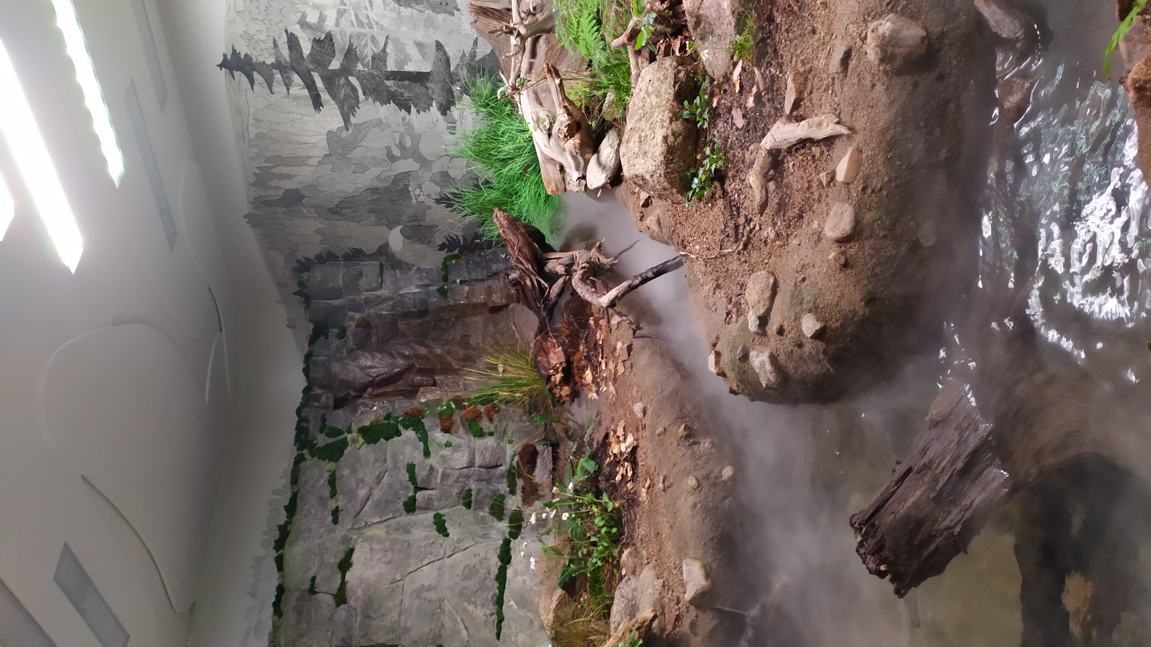 Muzeum Krkonoš foto 5