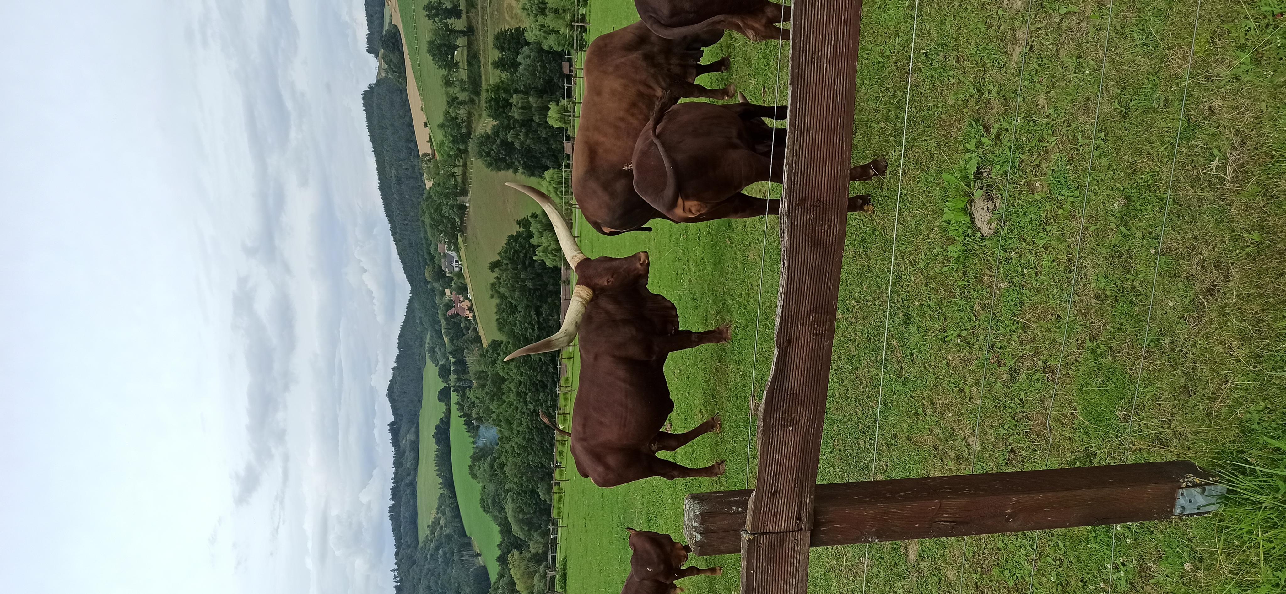 FARMAPARK foto 4