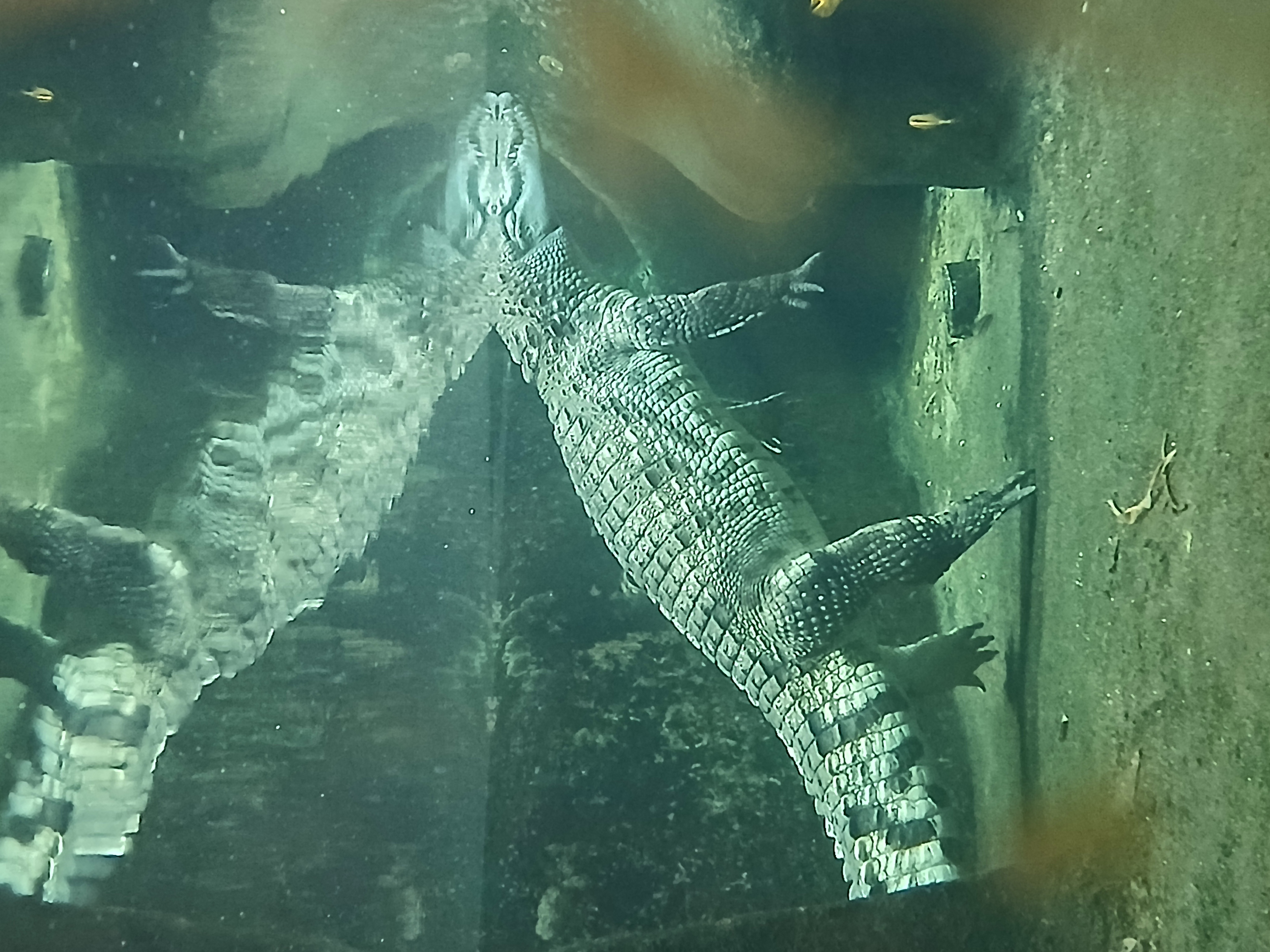 Zoo Jihlava foto 6