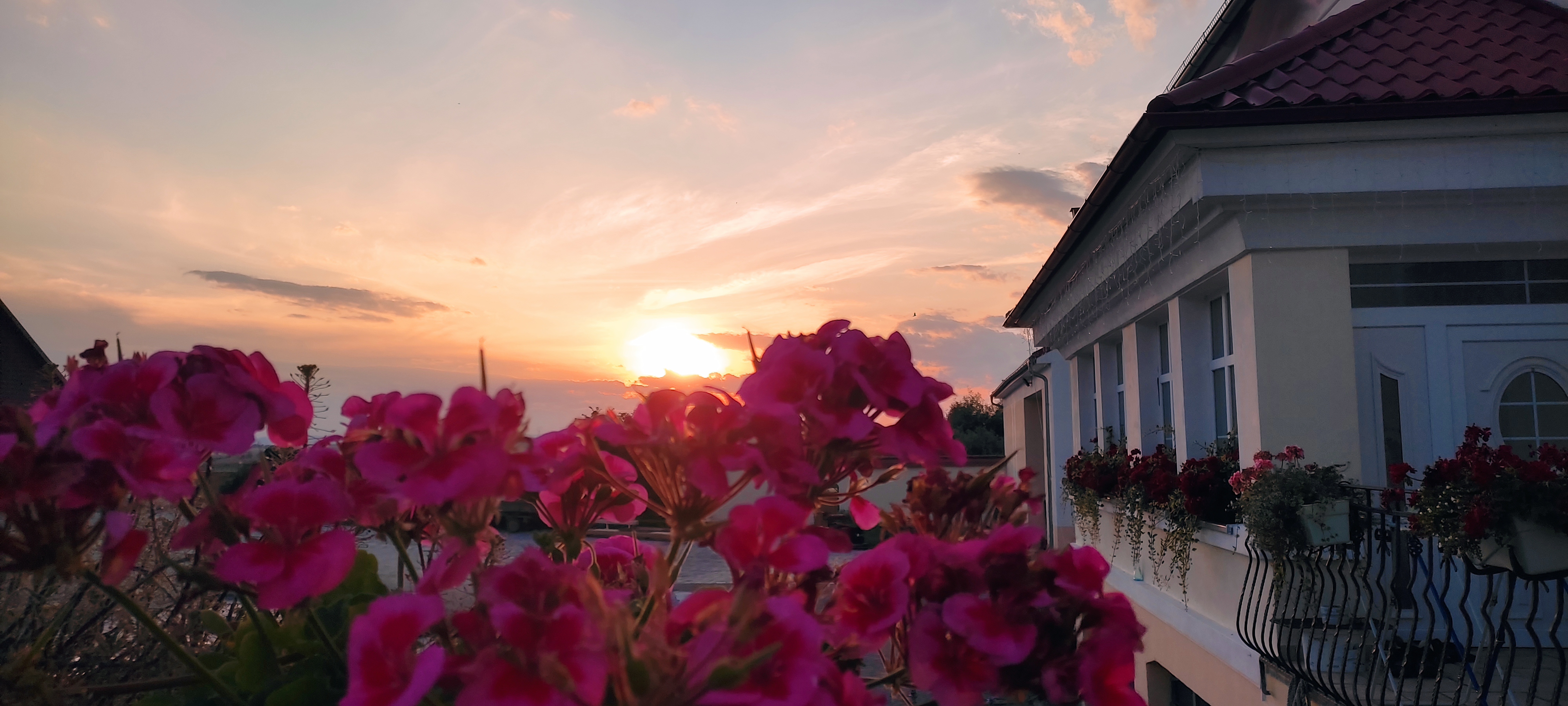 Gut Sonnenhof foto 4