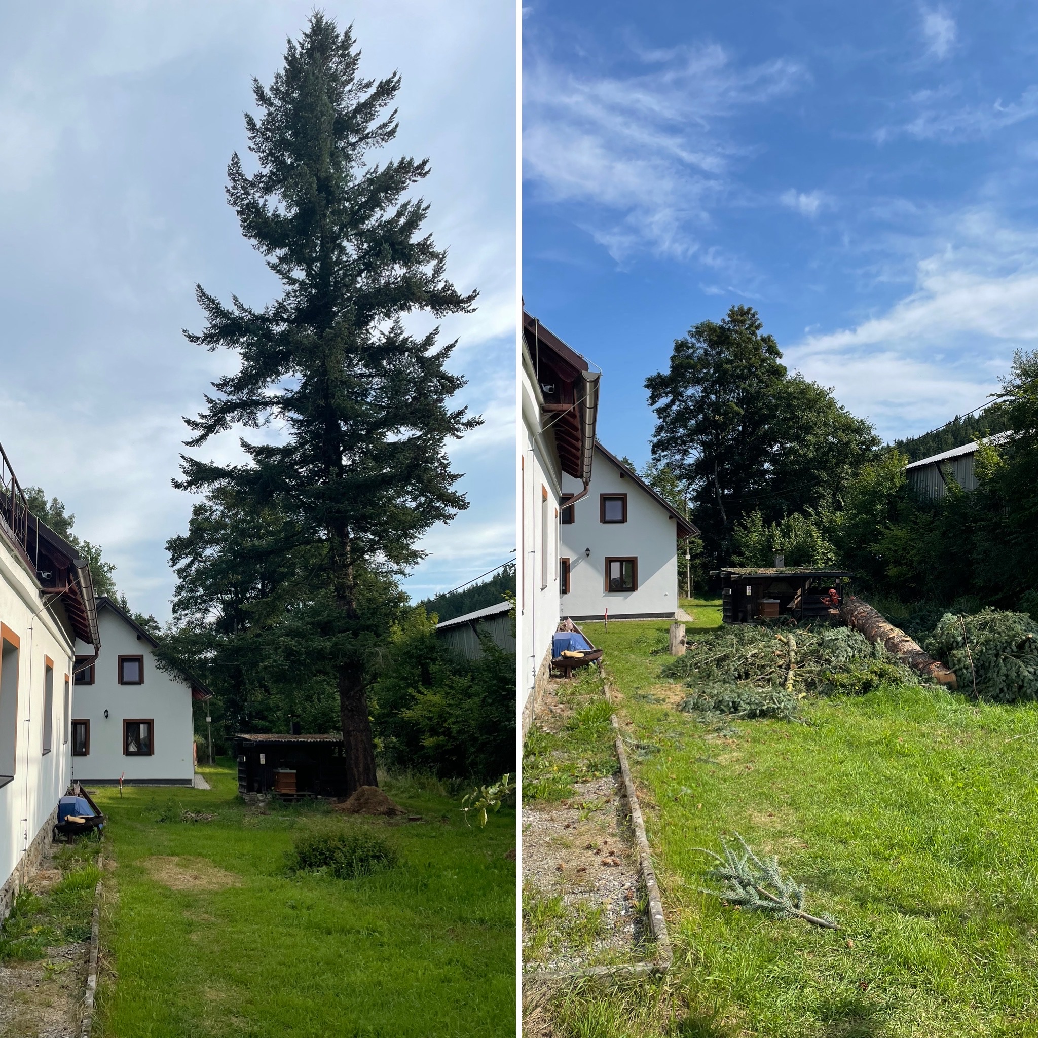 Rizikové kácení Setvín - Rikas.cz foto 4