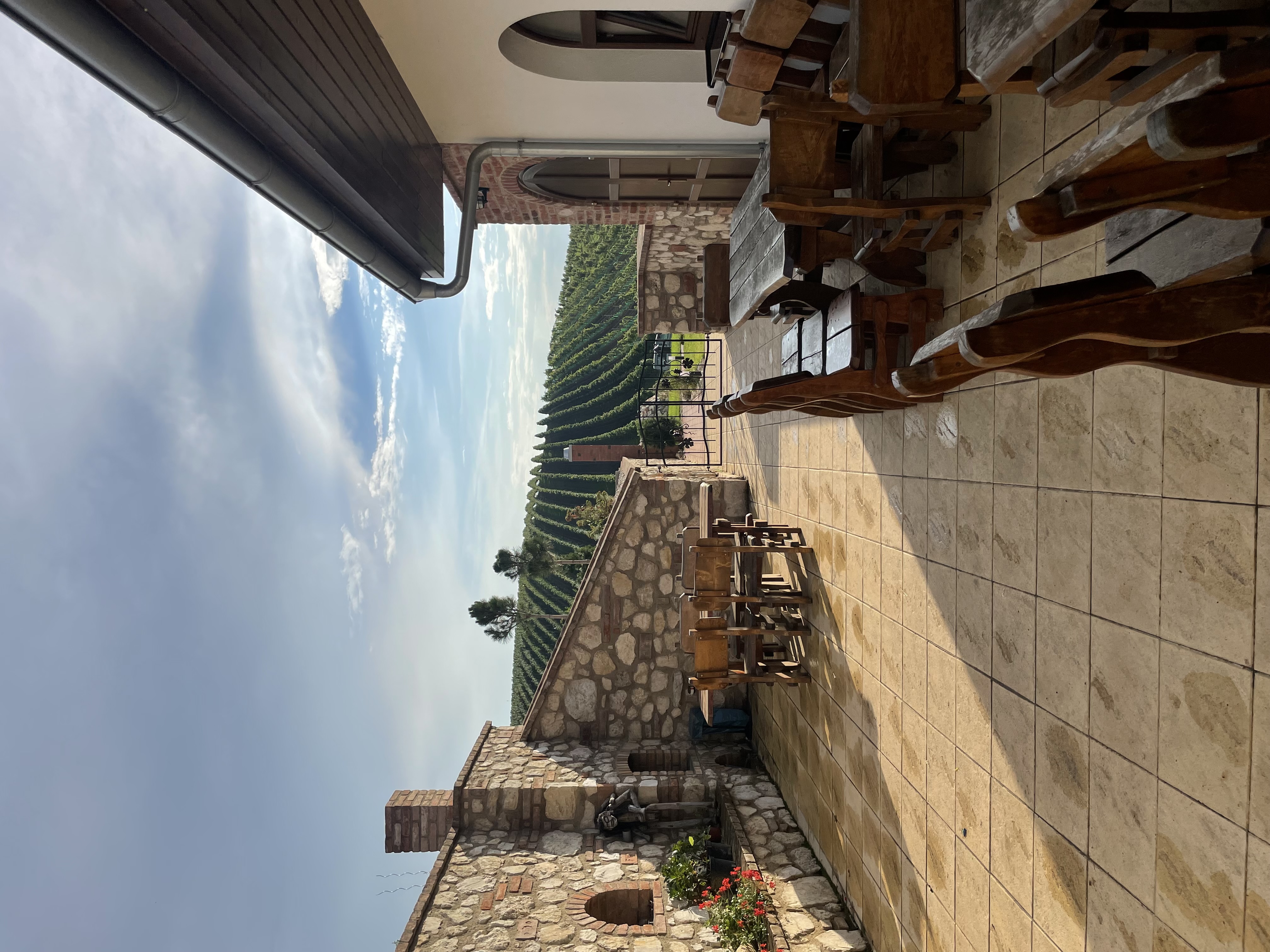Moravčíkova vína, s.r.o. foto 6