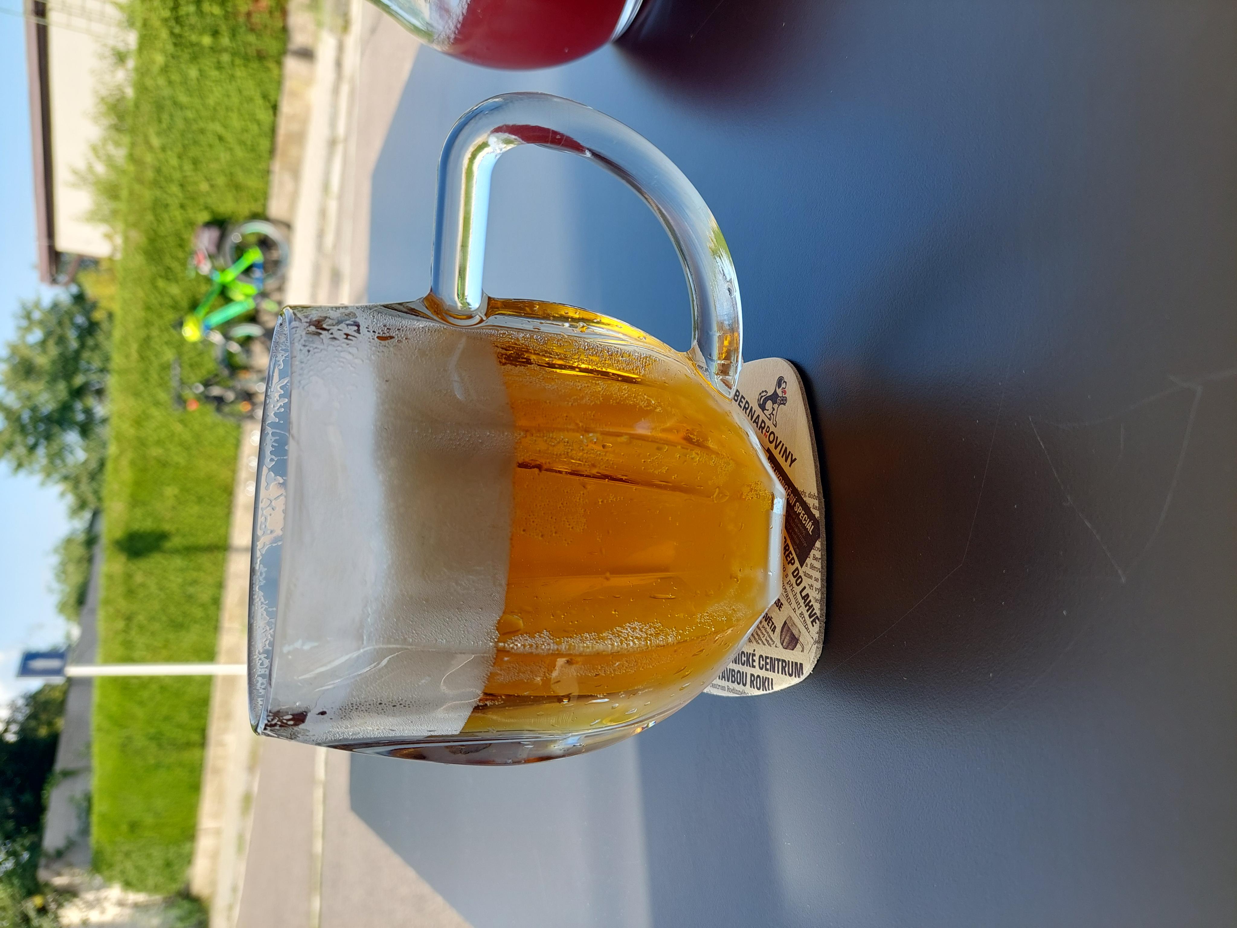 Restaurace U Motlů foto 3