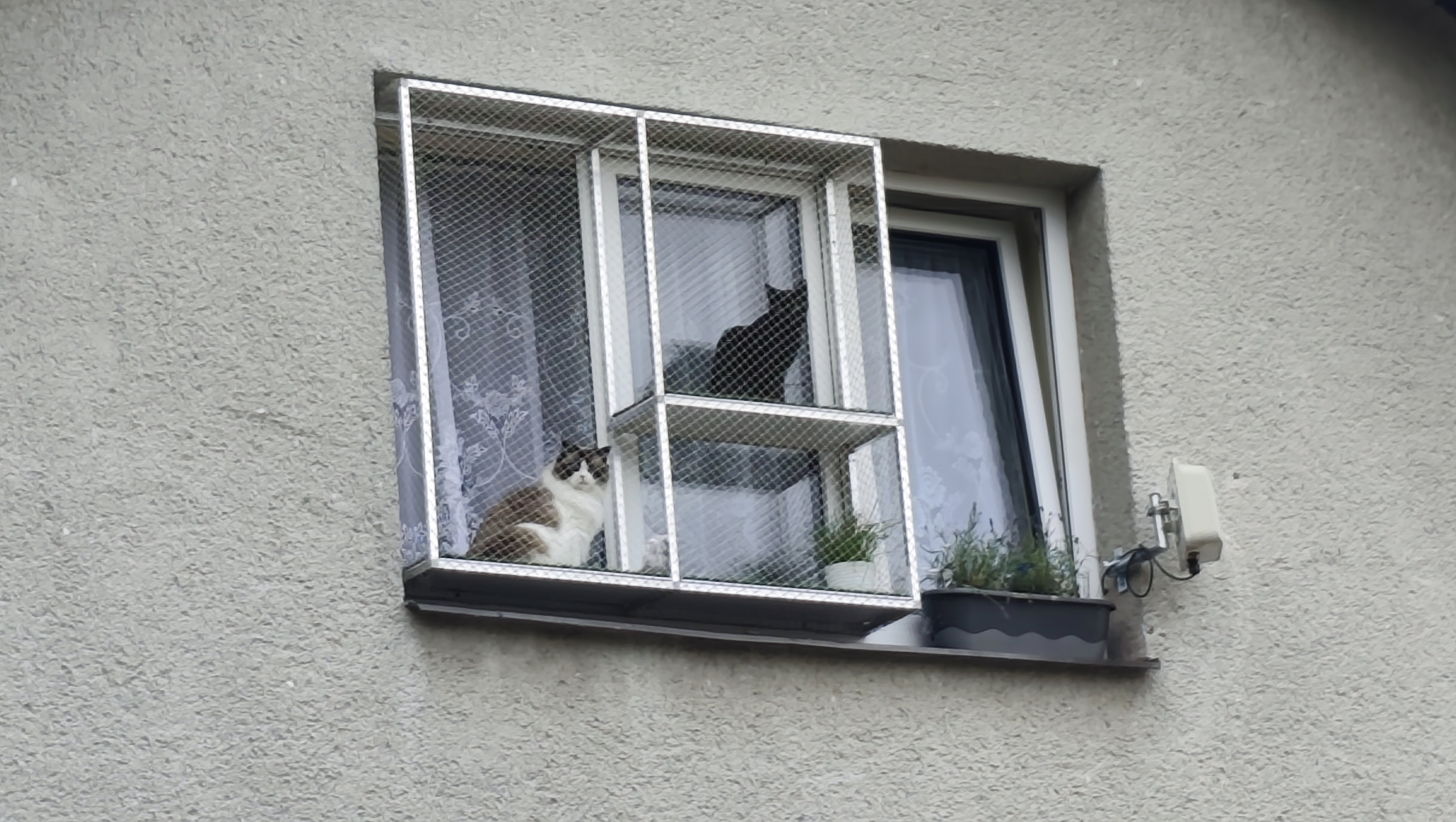 MATO-DUO.cz foto 2