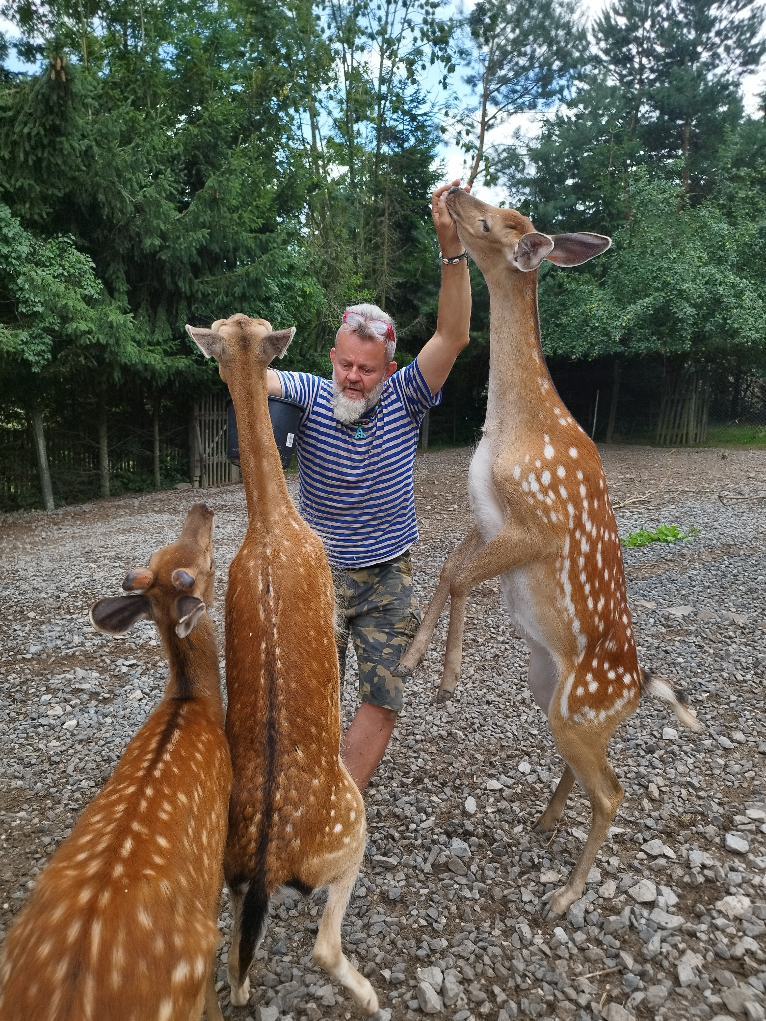 Penzion Roubenka-Sedlo foto 4