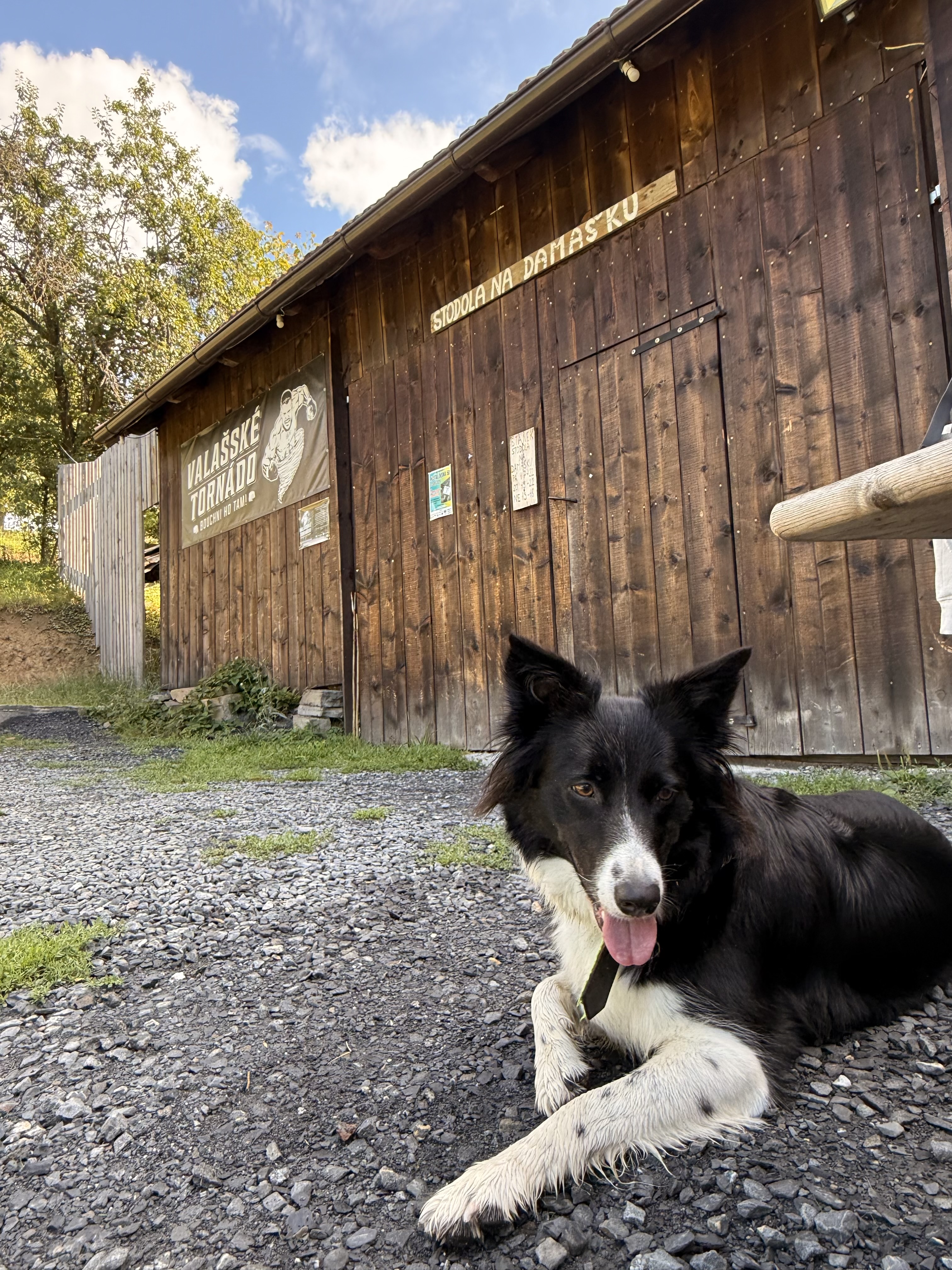 Stodola na Damašku foto 6
