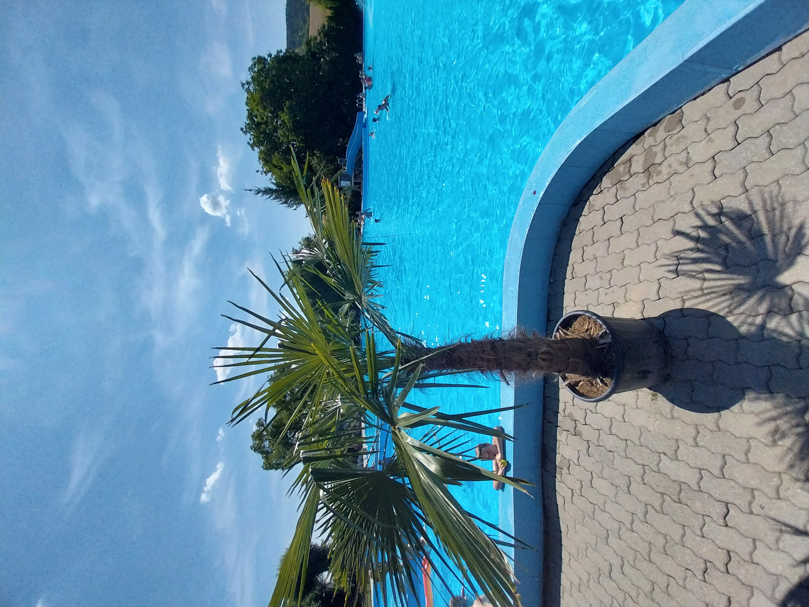 Městské koupaliště Ždánice foto 5