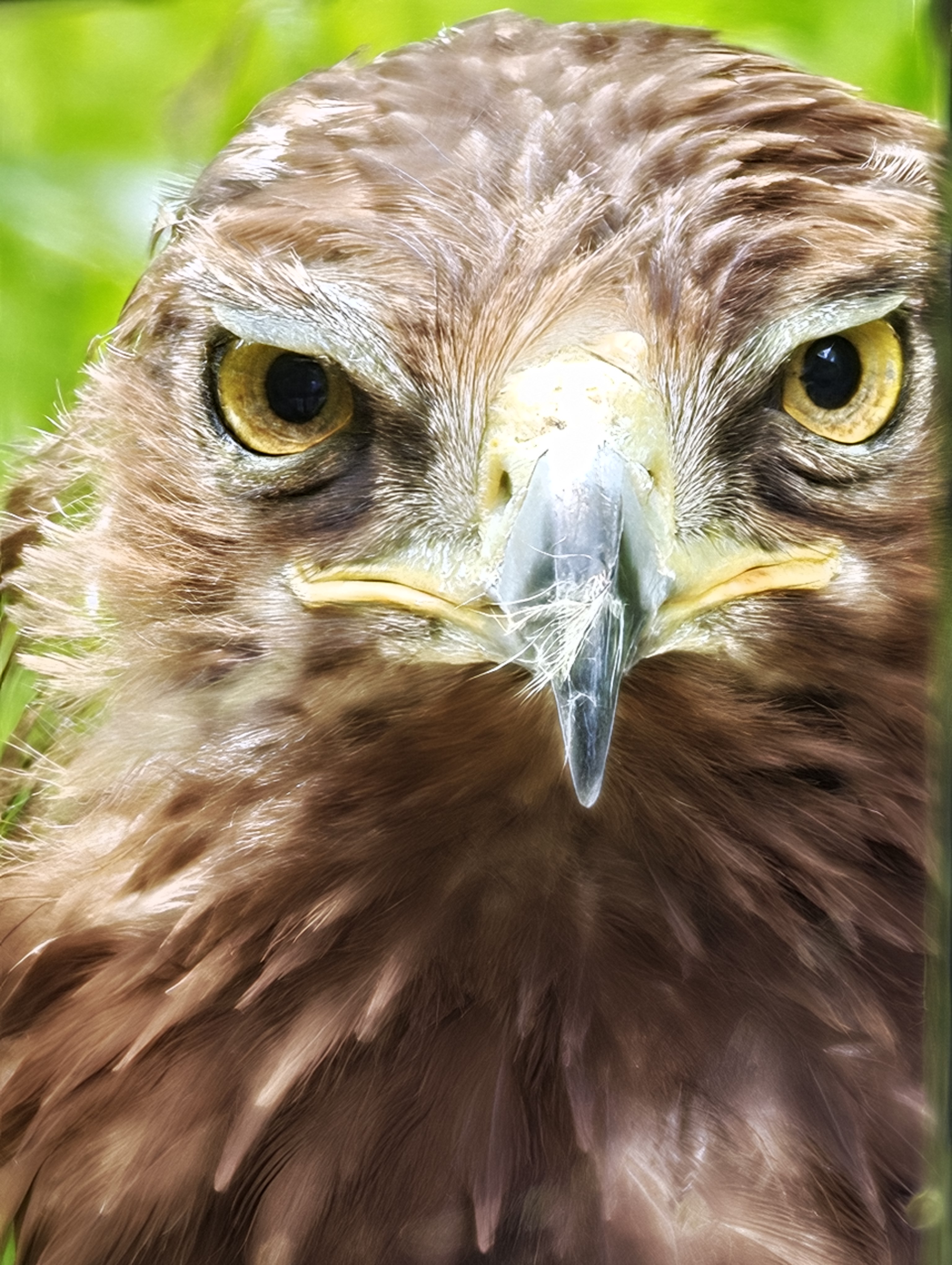 Zoo Liberec foto 6