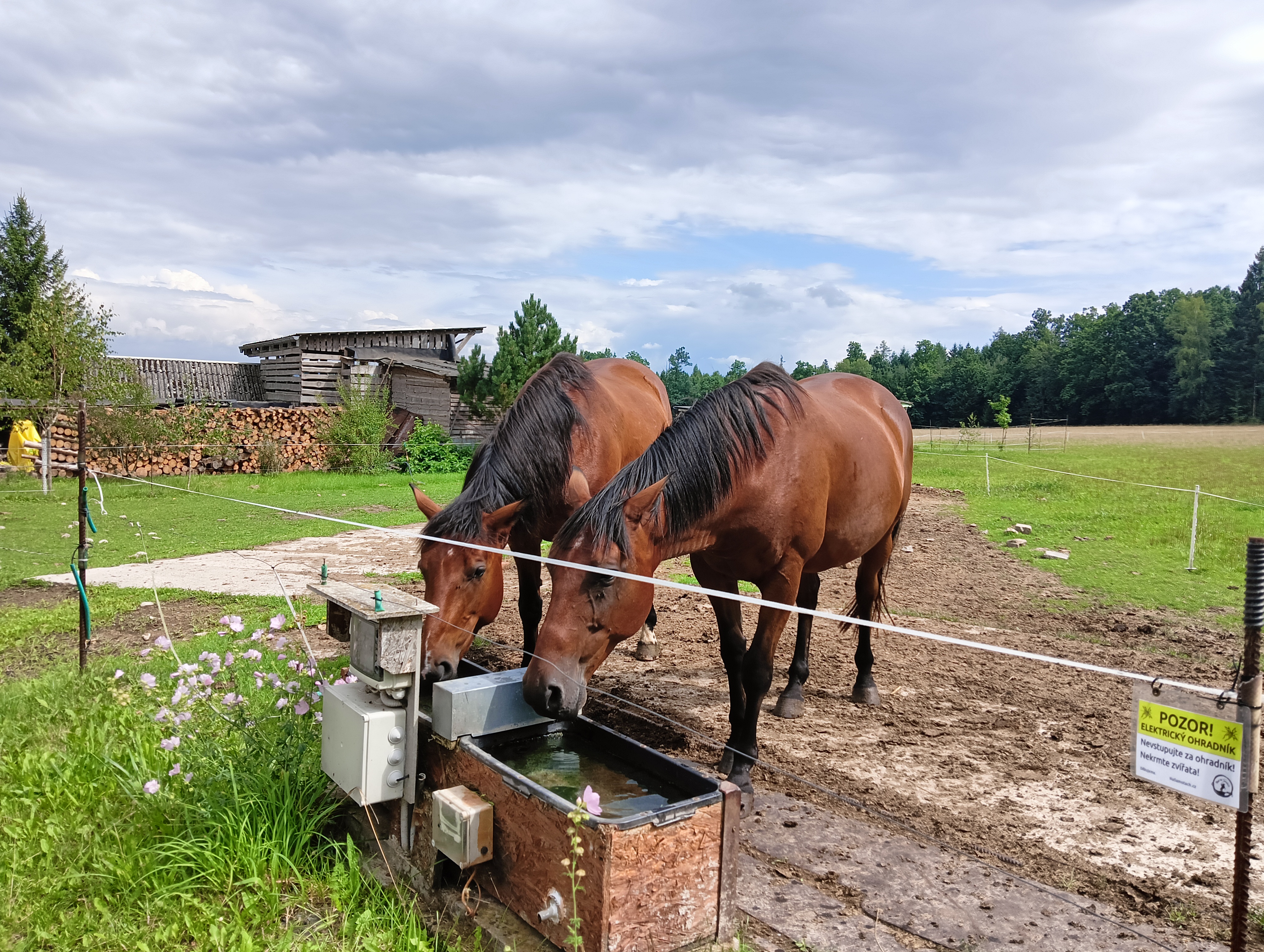 Ranč na Samotách foto 2