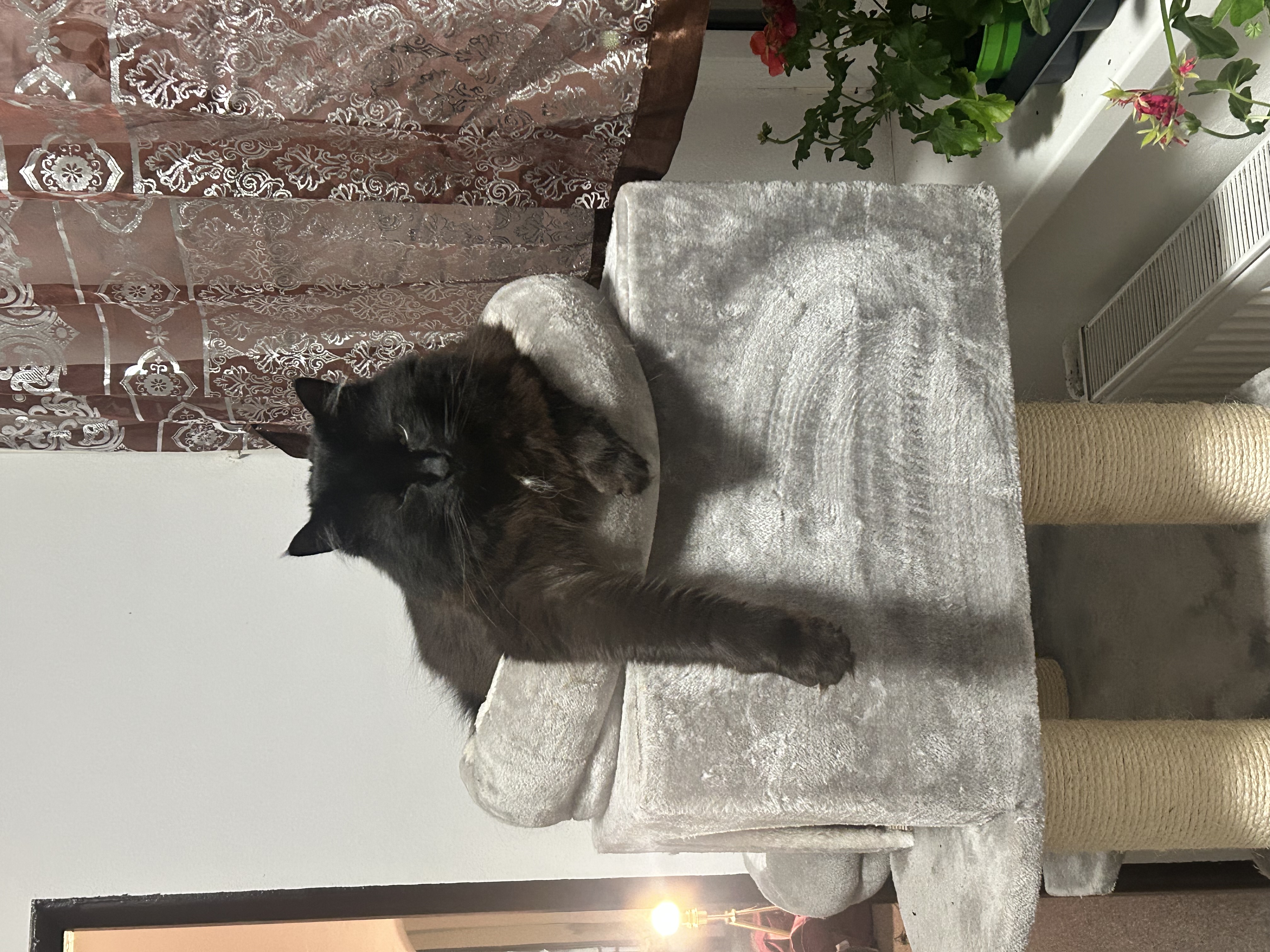 Veterinární ordinace MVDr. Čeněk Červený foto 1