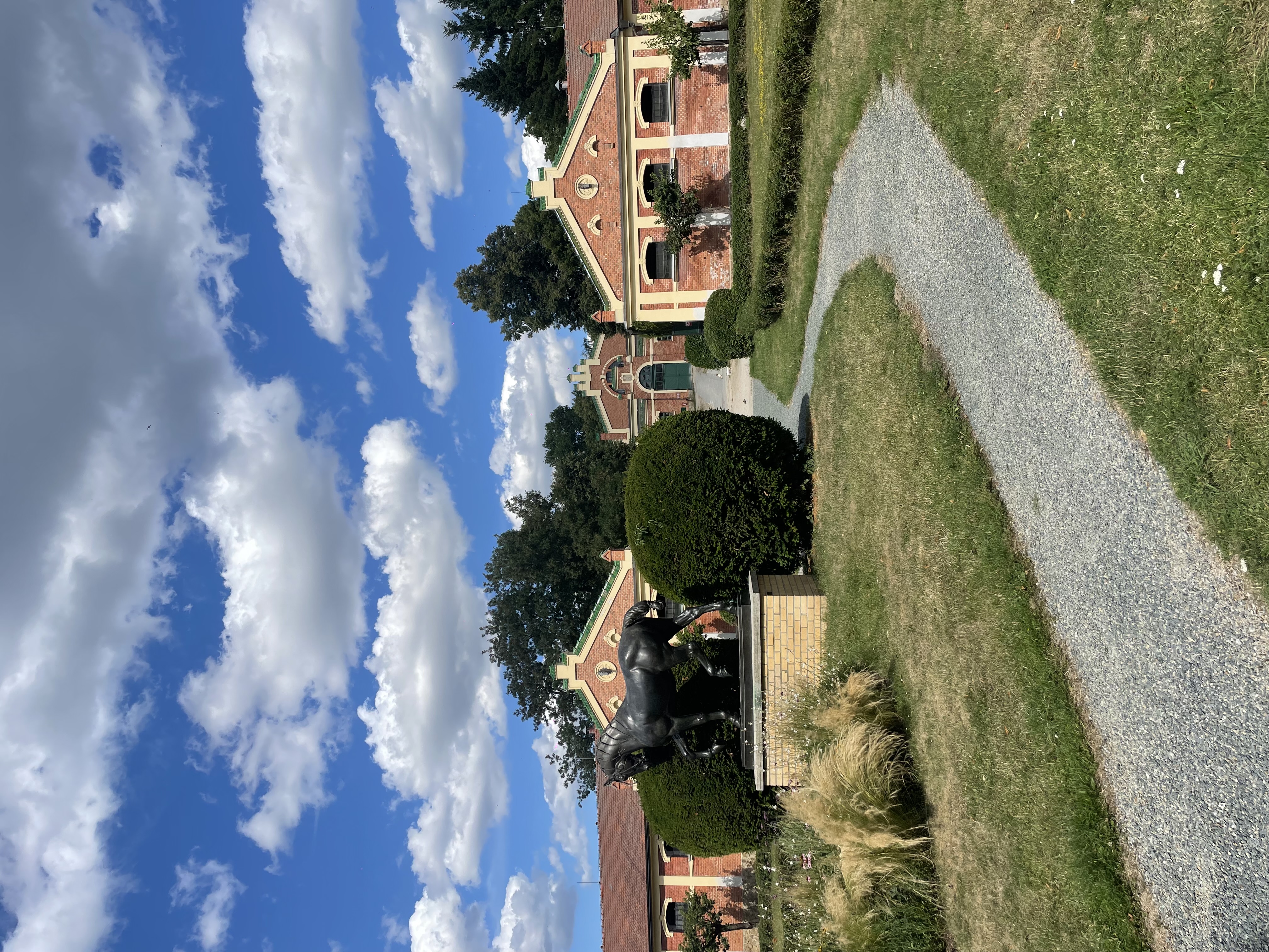 Zemský hřebčinec Písek, s.p.o. foto 5