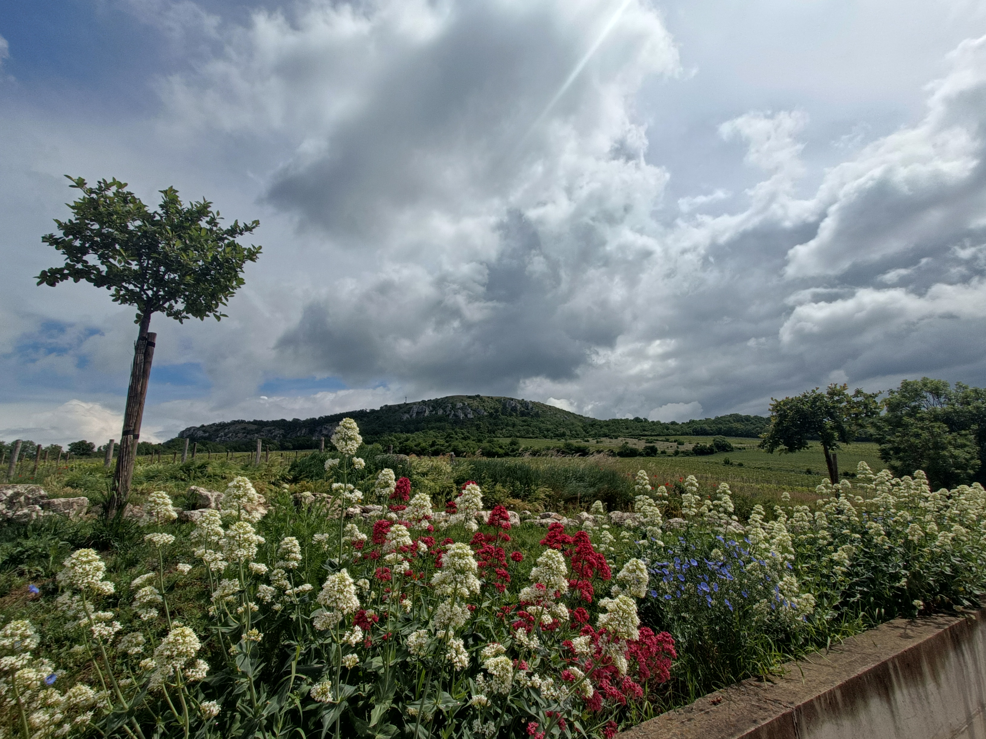 Gala vinařství foto 3