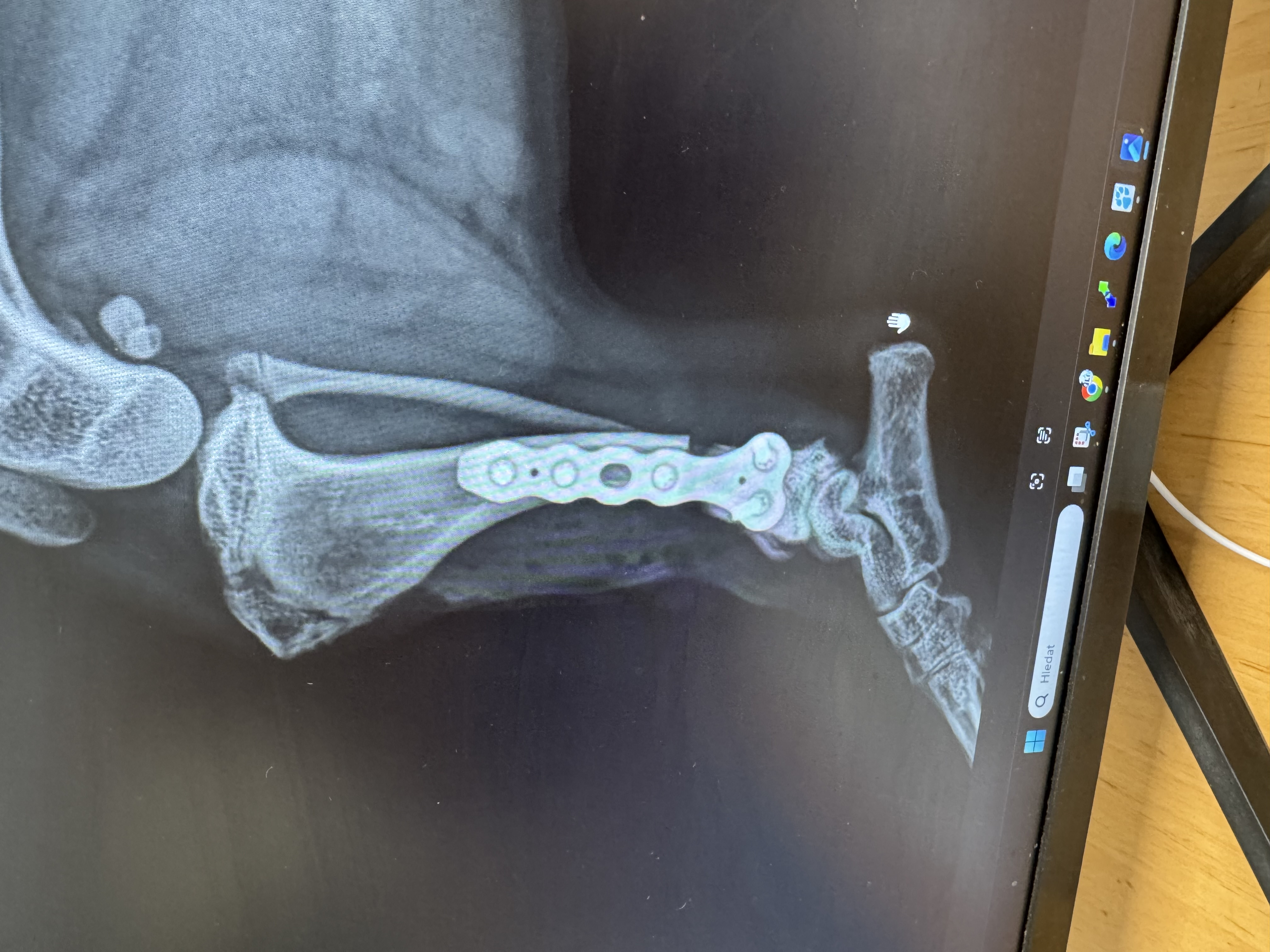 Veterinární klinika LIVE - MVDr. Eva Štolcová foto 5