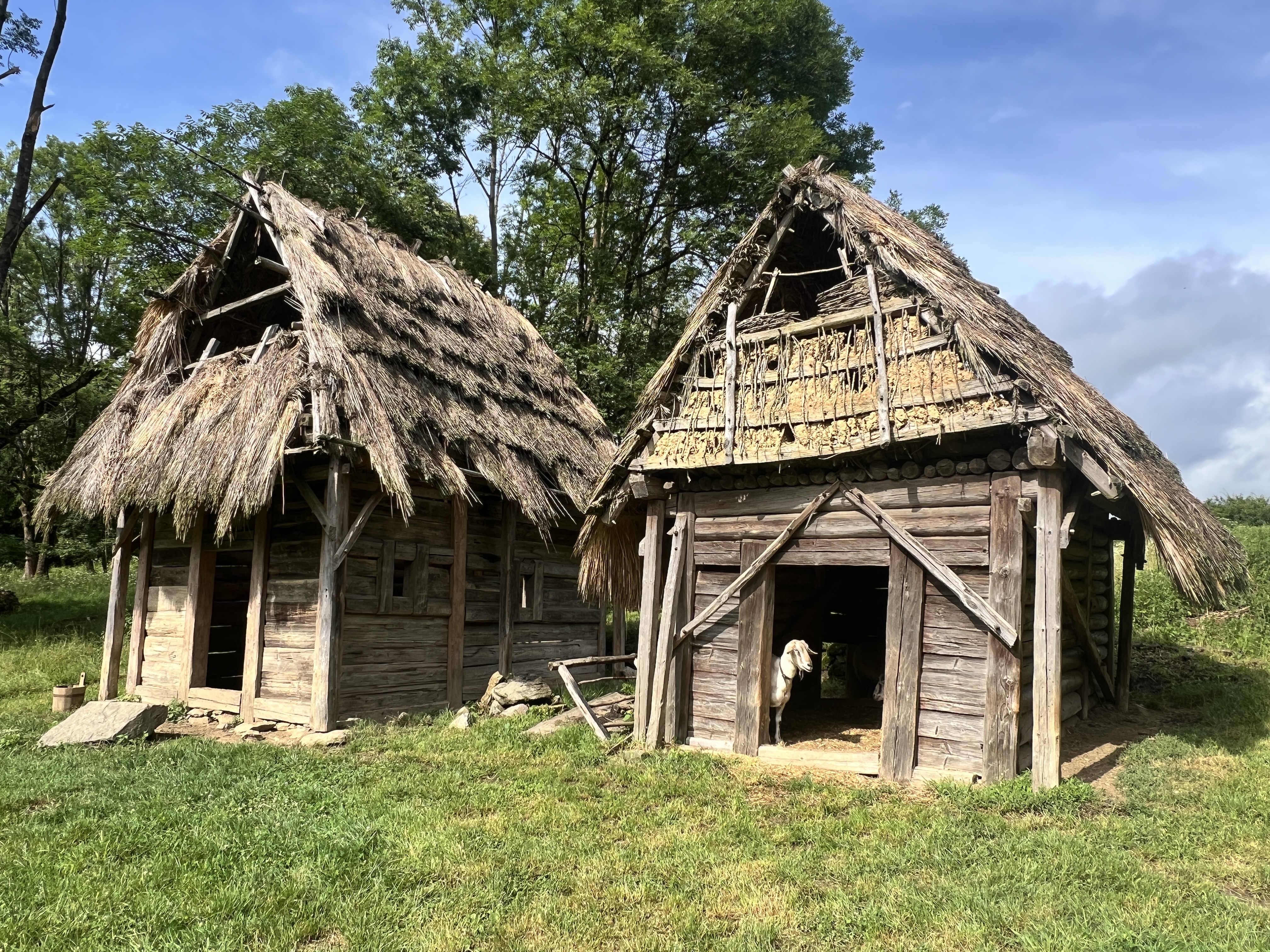 Villa Nova Uhřínov středisko experimentální archeologie a regionálních dějin foto 2