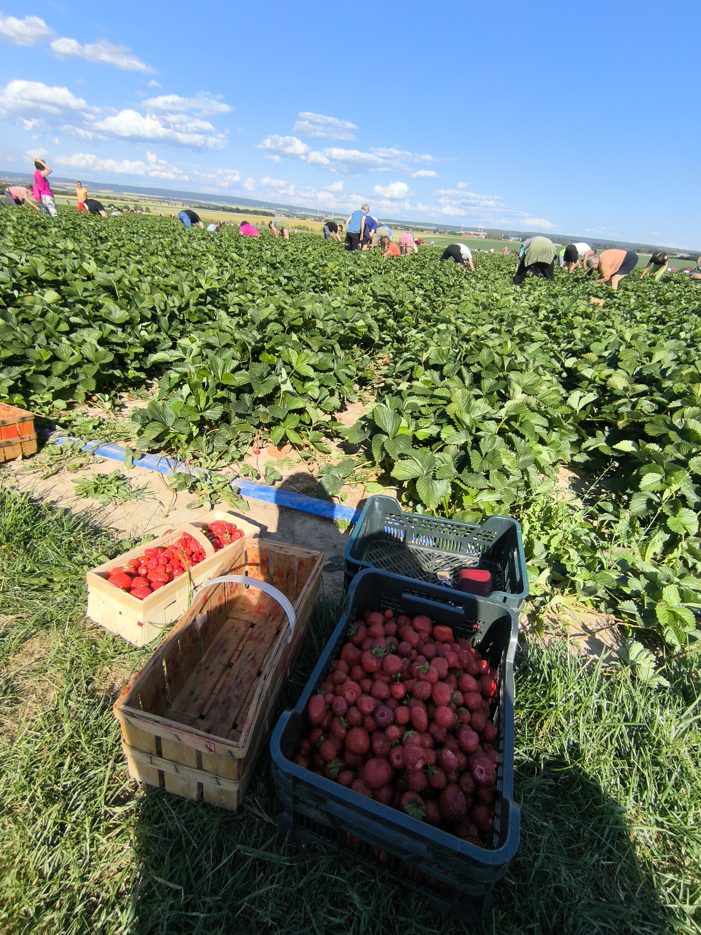 Farma Drahoš foto 1