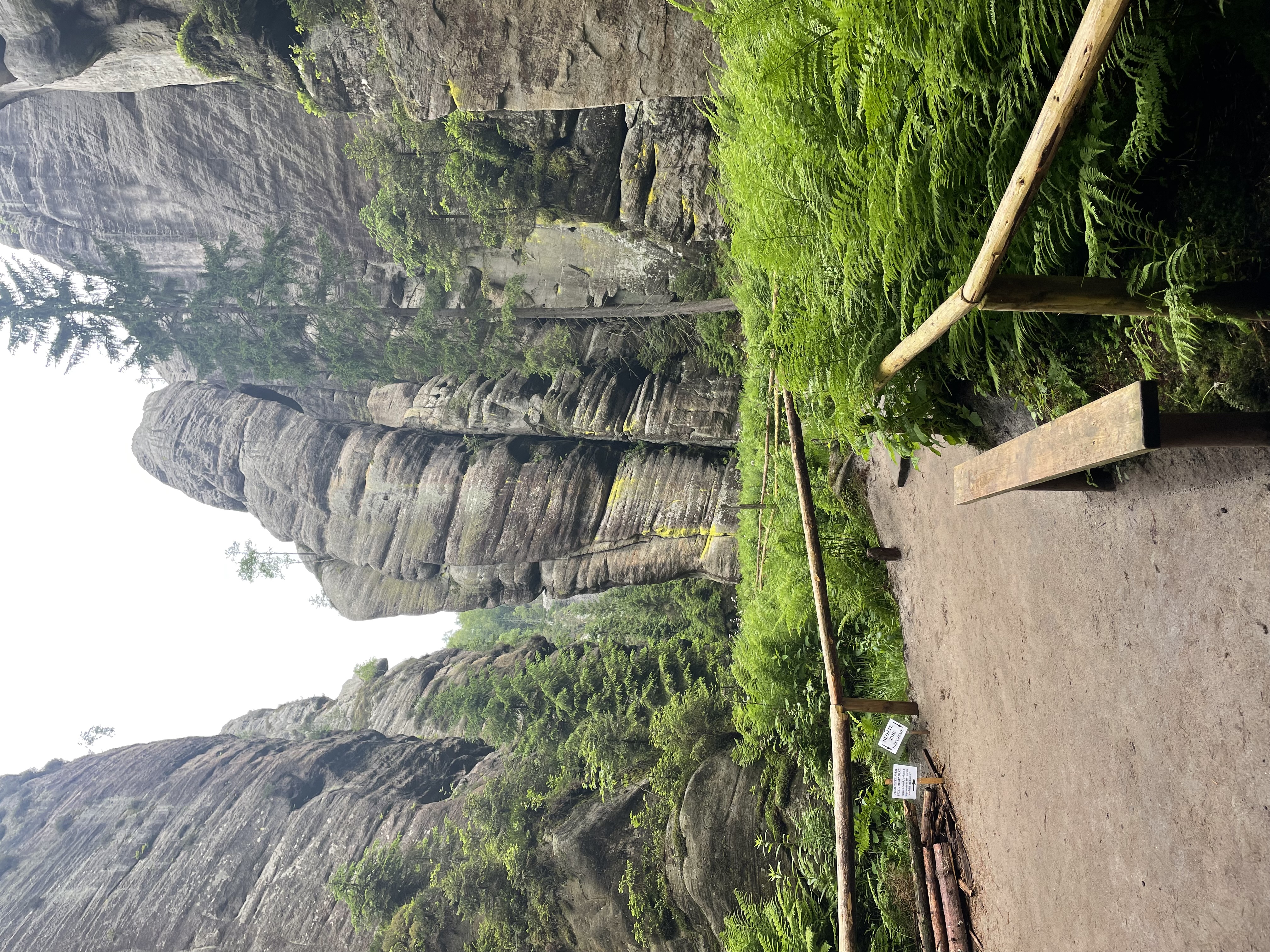 Penzion Čtyřlístek foto 6