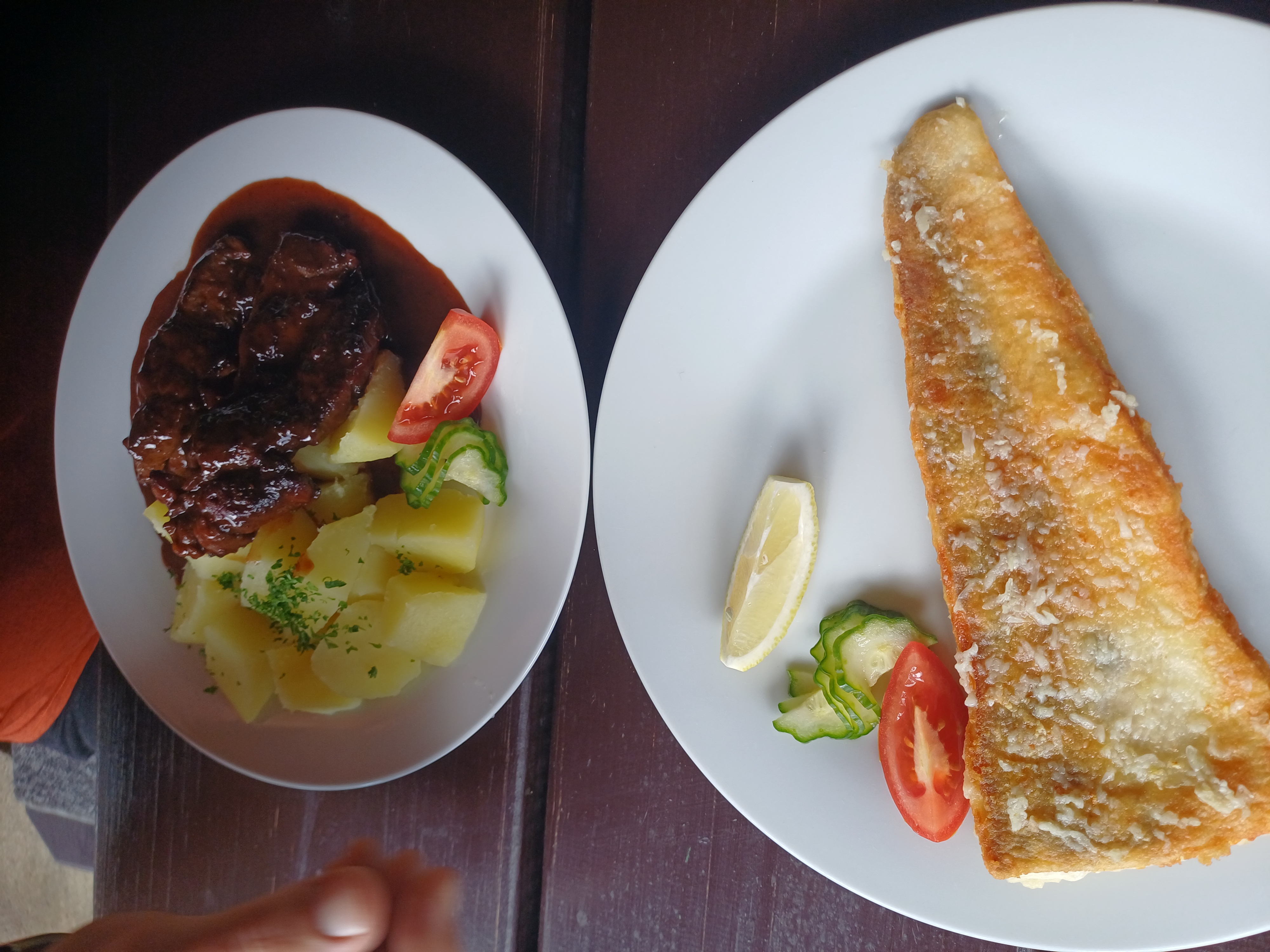 Restaurace Rybářská Bašta foto 6