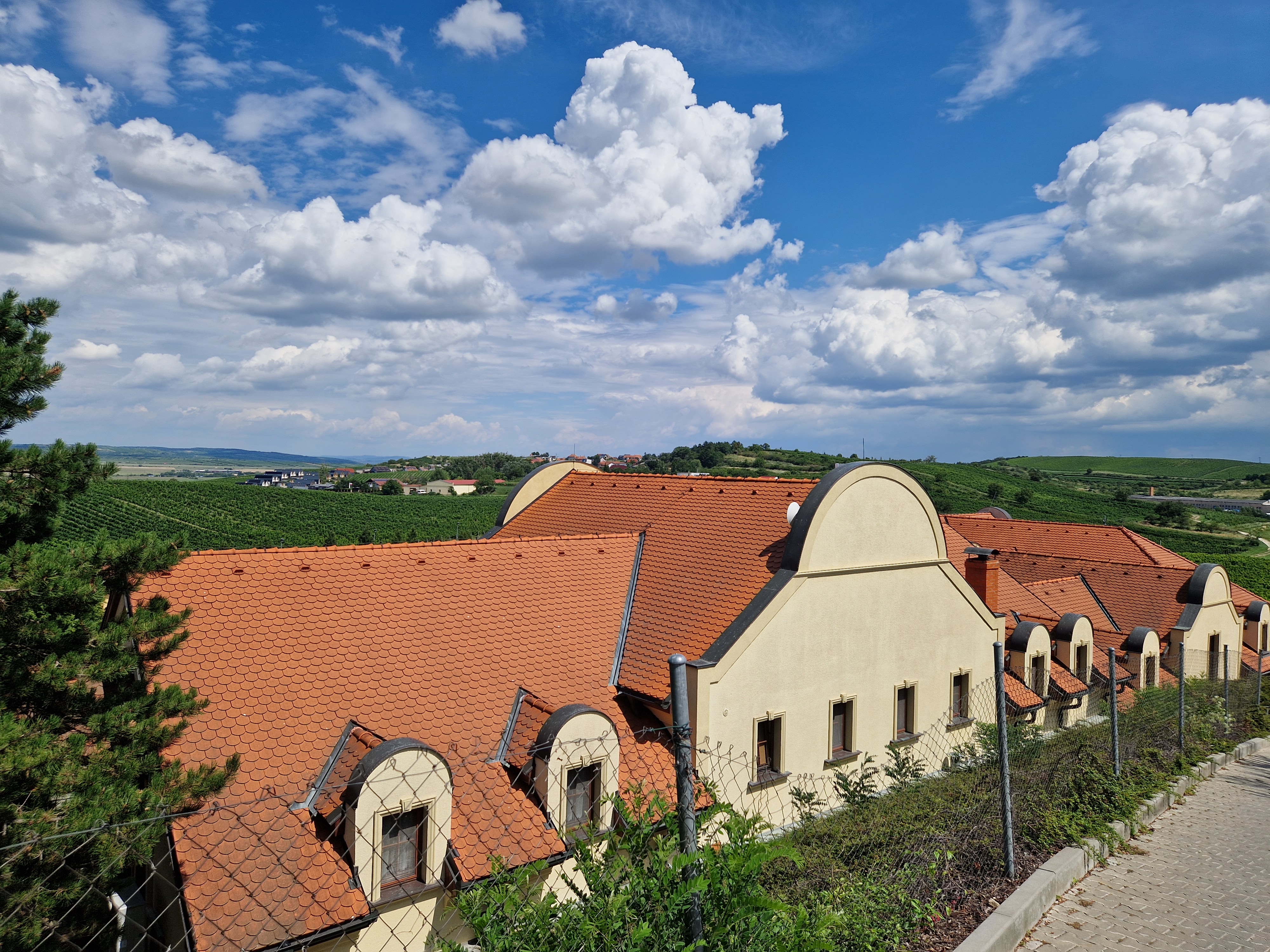 Vinařství U Kapličky, s.r.o. foto 4