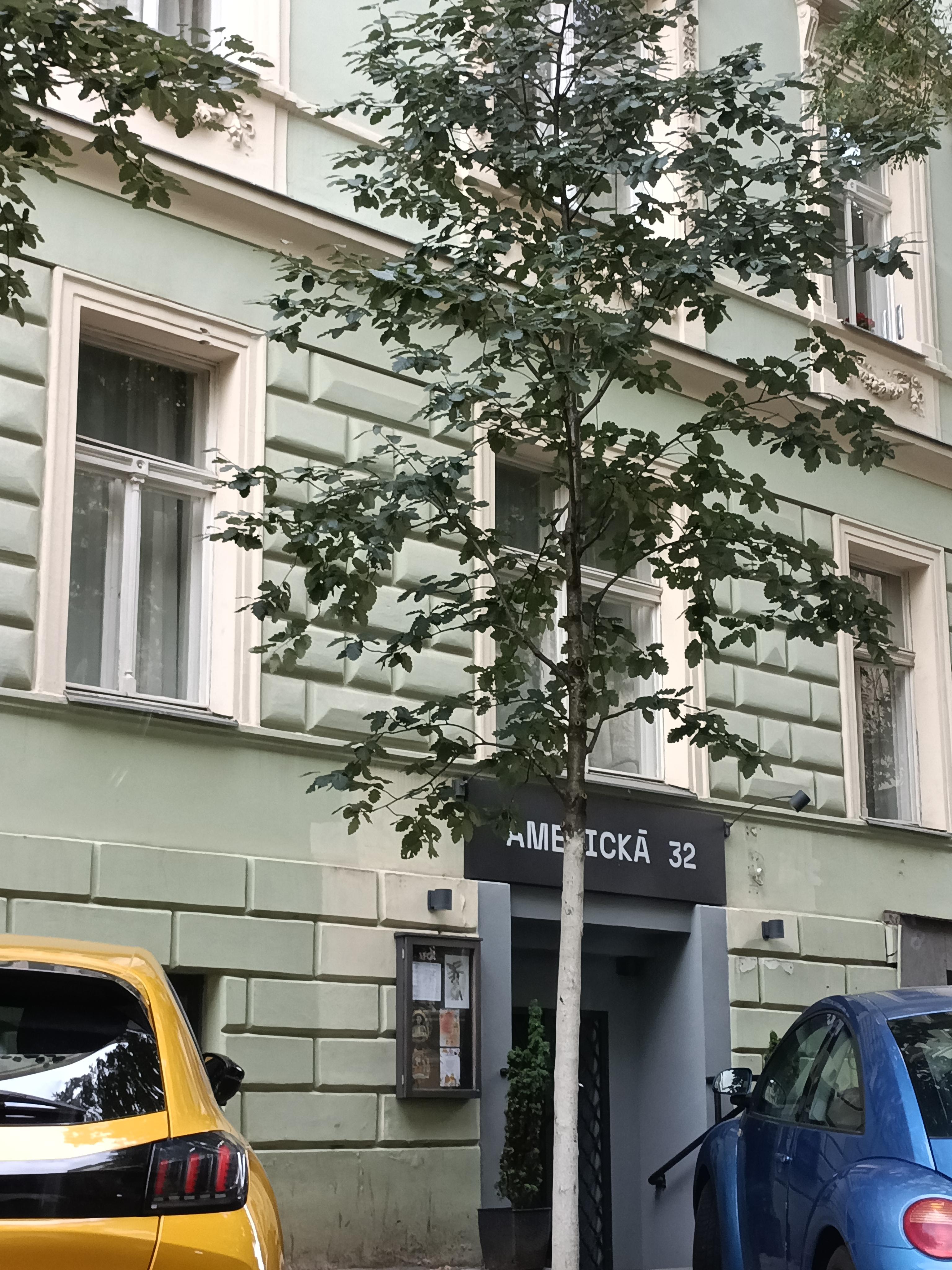 Revize elektro Obolecký foto 4