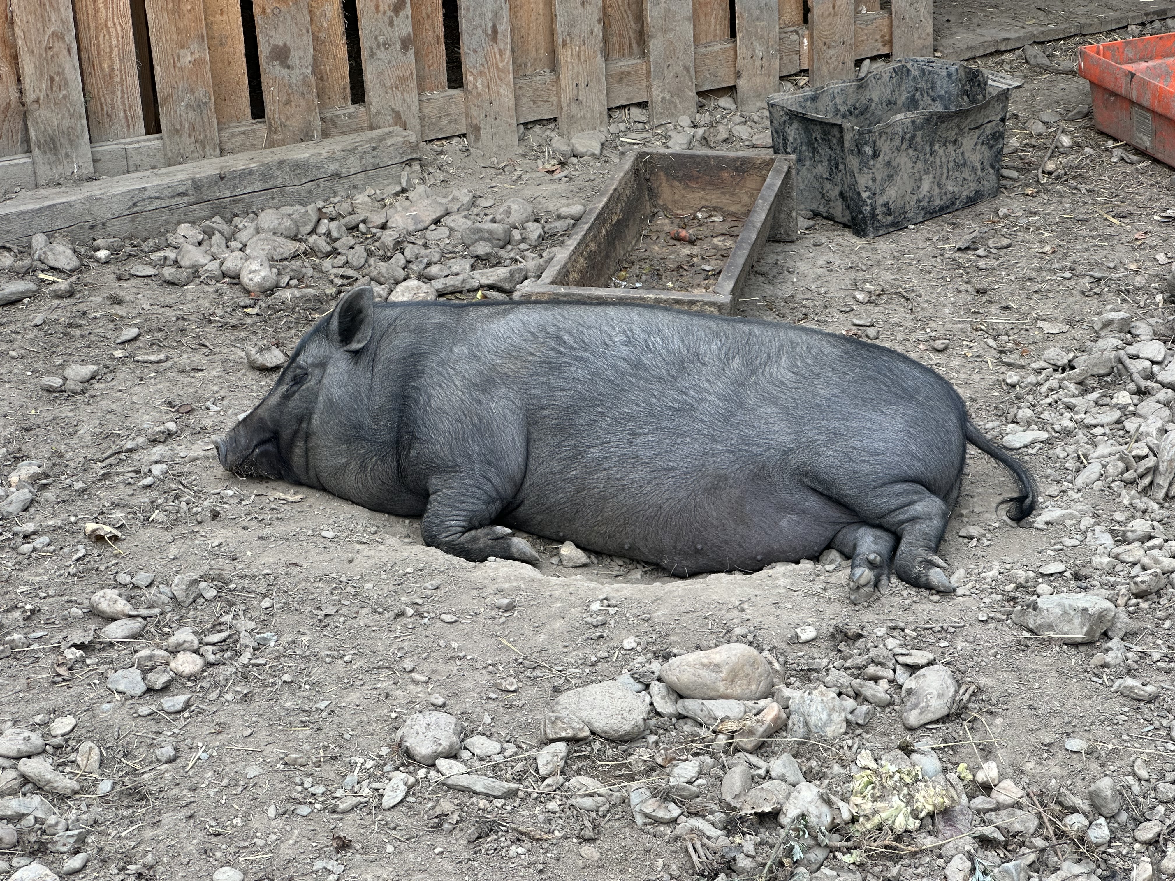 U Makovců foto 3