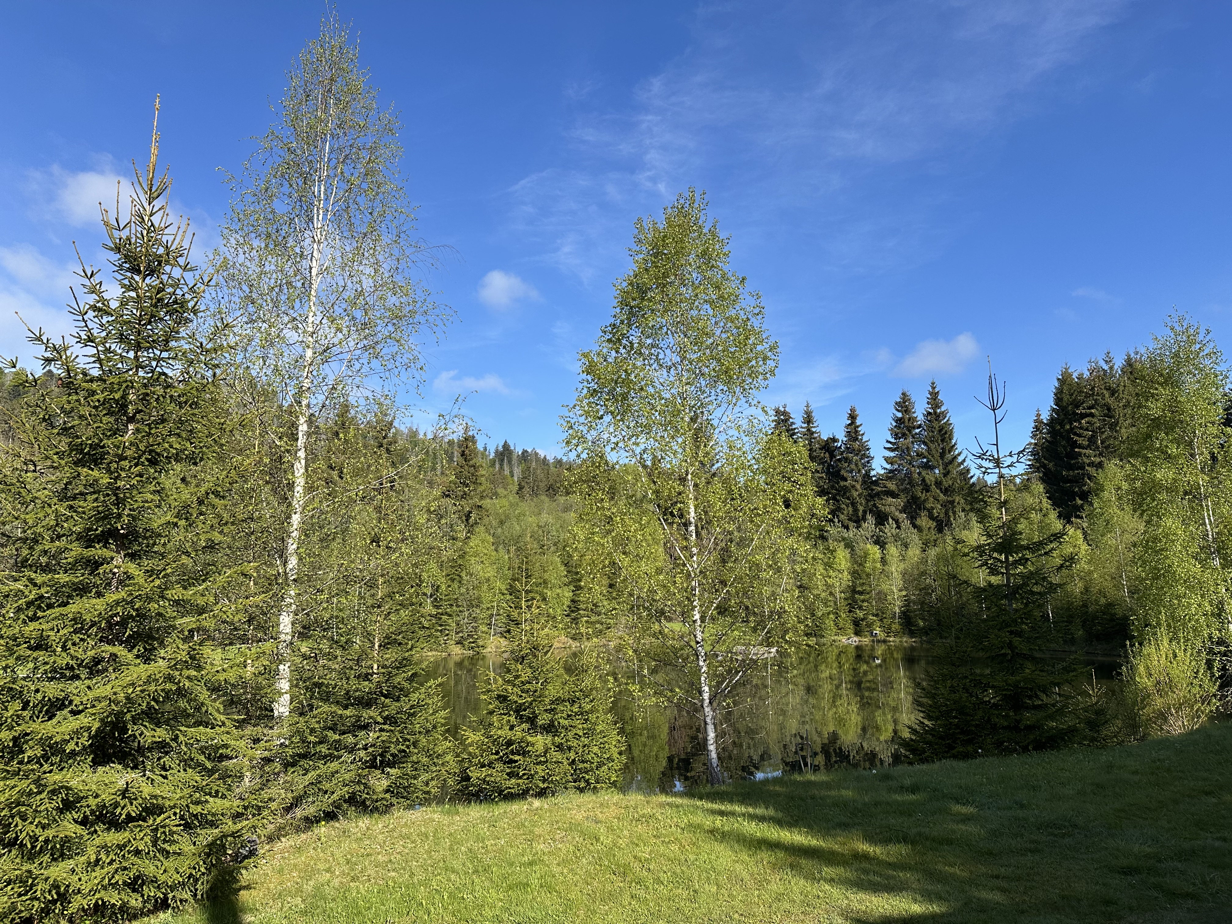 Šumavská Vlčice - Rybářský srub foto 4